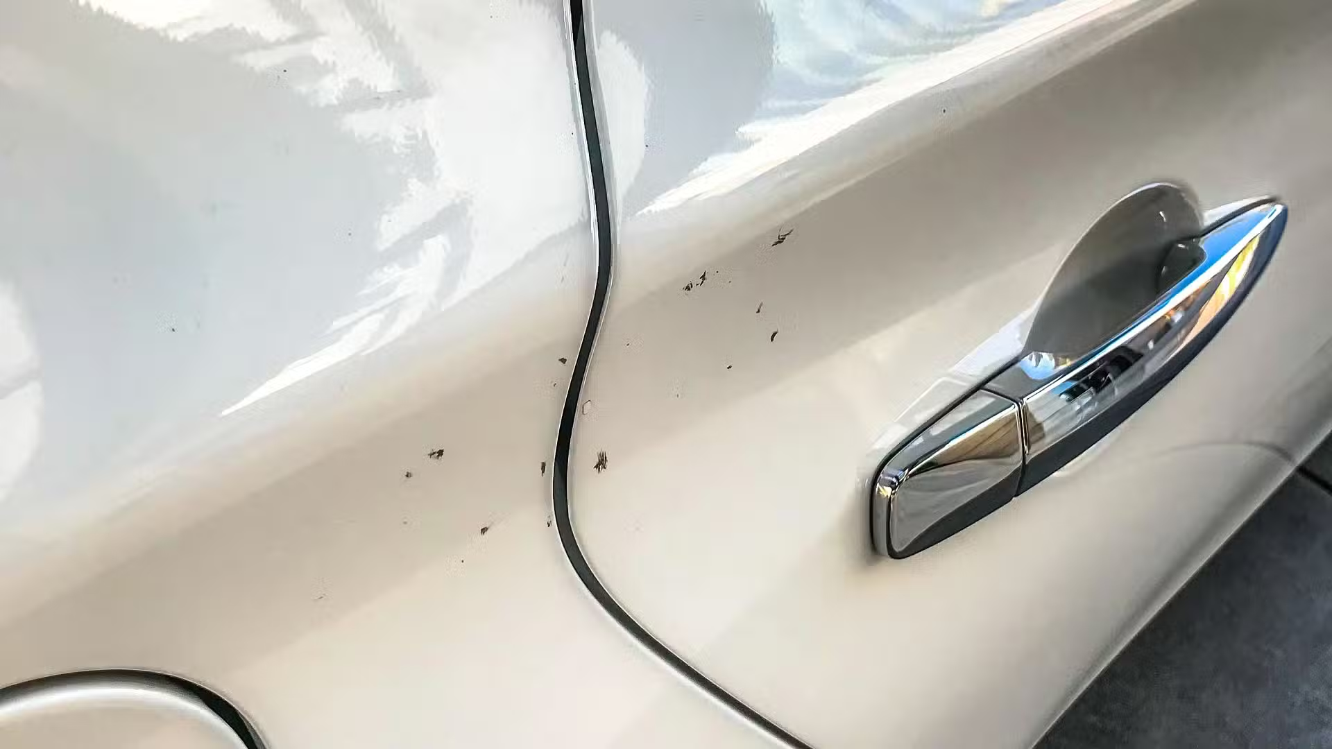 How to Prevent and Fix Stone Chips on Your Car banner