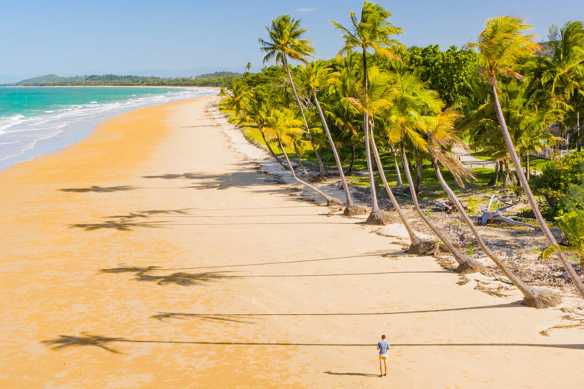 The Ultimate FNQ Road Trip Guide banner