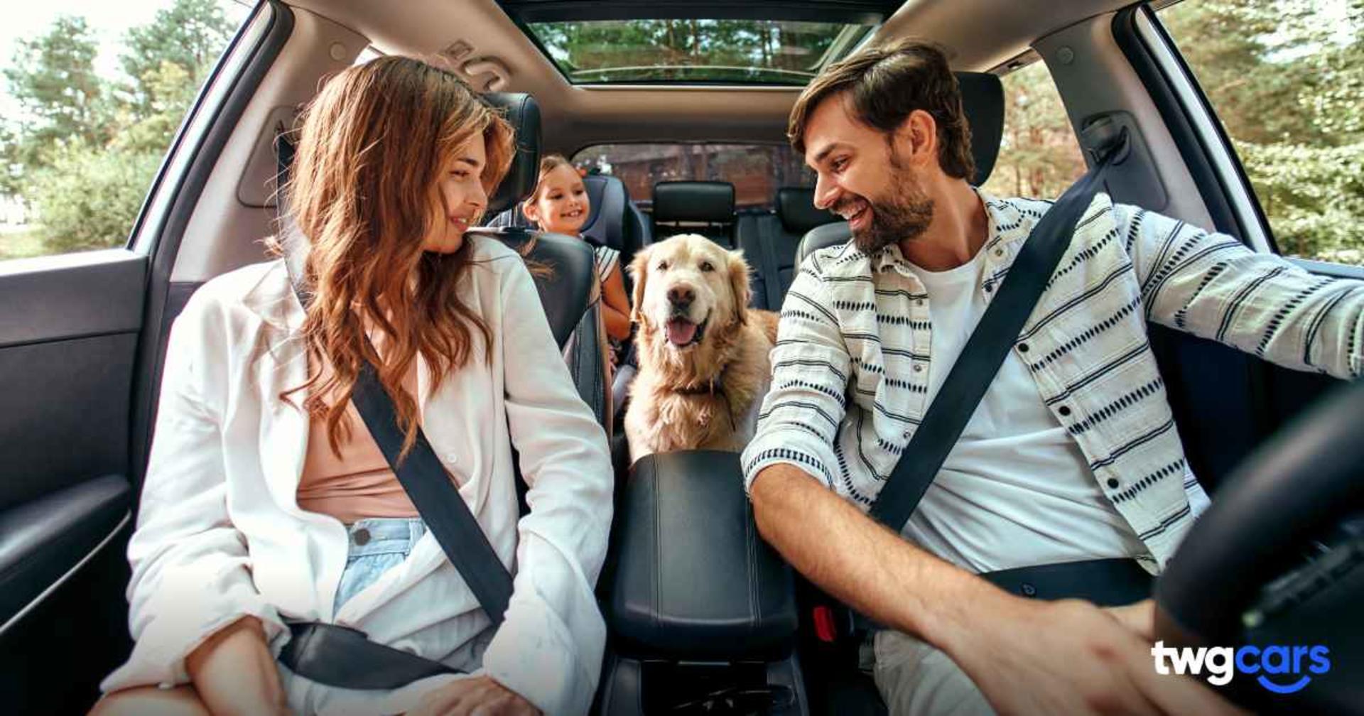 Drive with confident