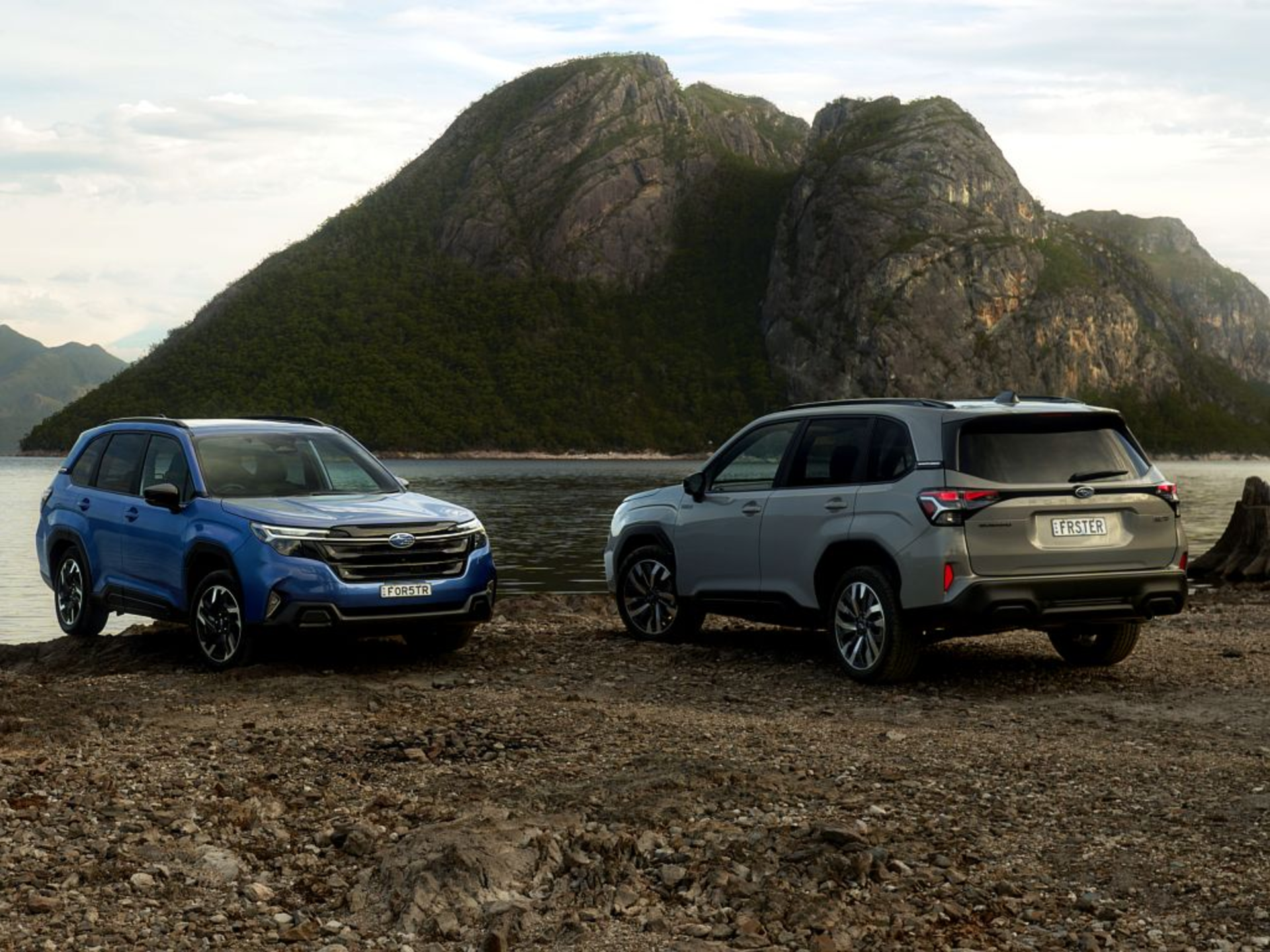 🚗 Pre-Order the All-New 2025 Subaru Forester at Tynan Subaru Sutherland & Albion Park! banner
