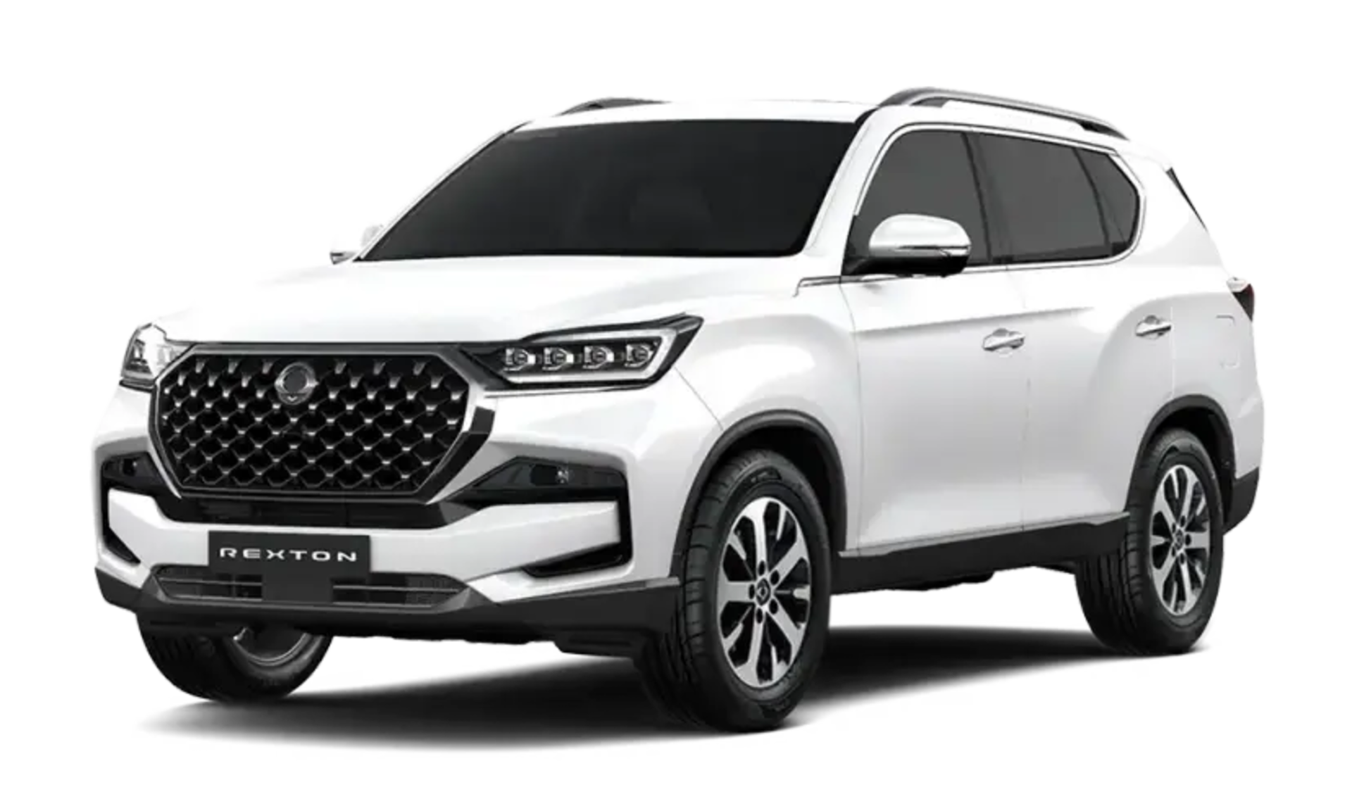 Rexton ELX in GRAND WHITE