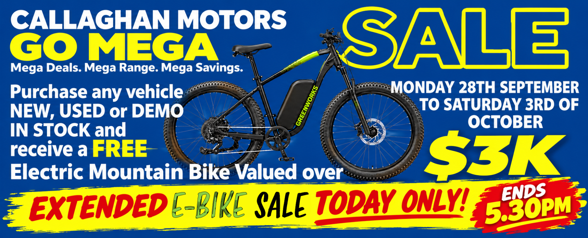 EXTENDED SALE