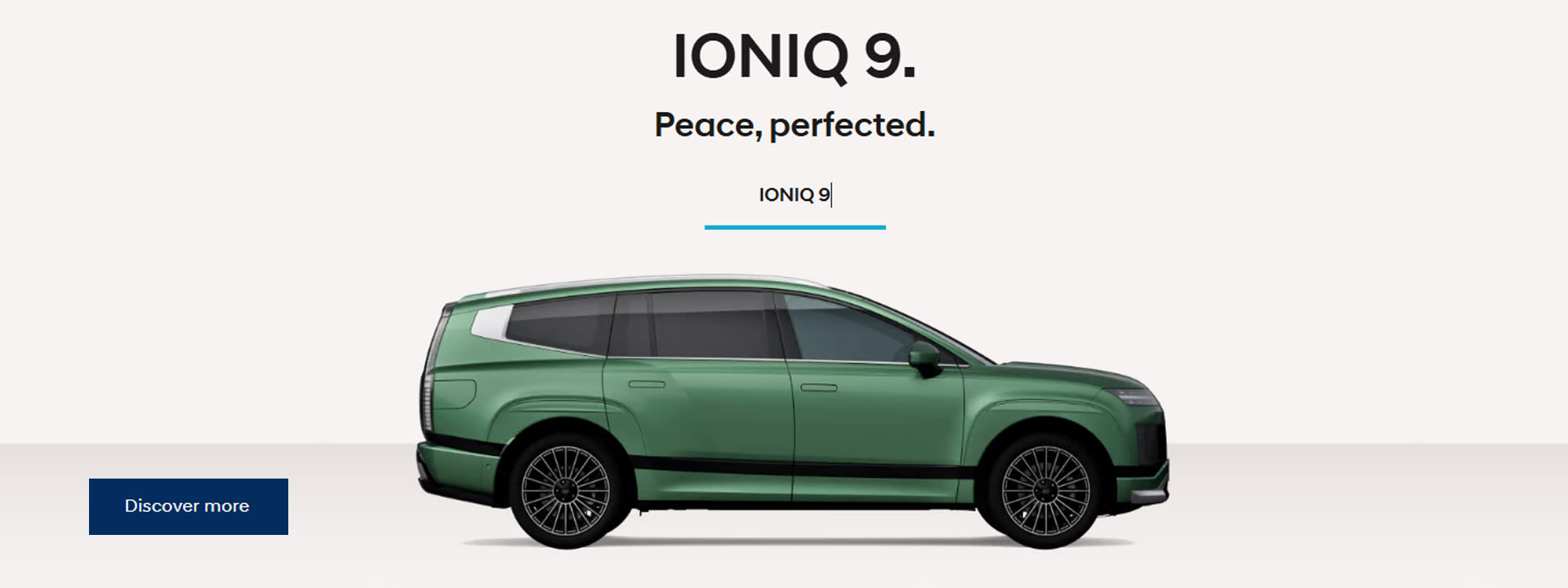 Ioniq9