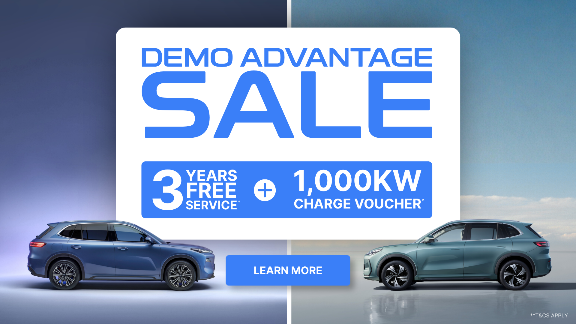 Demo Advantage Sale