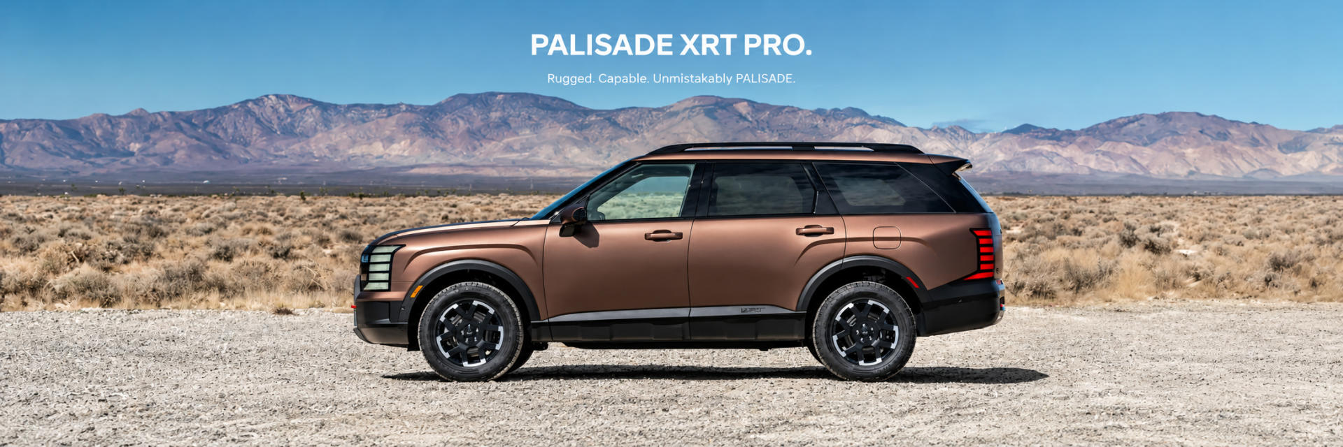 Palisade XRT