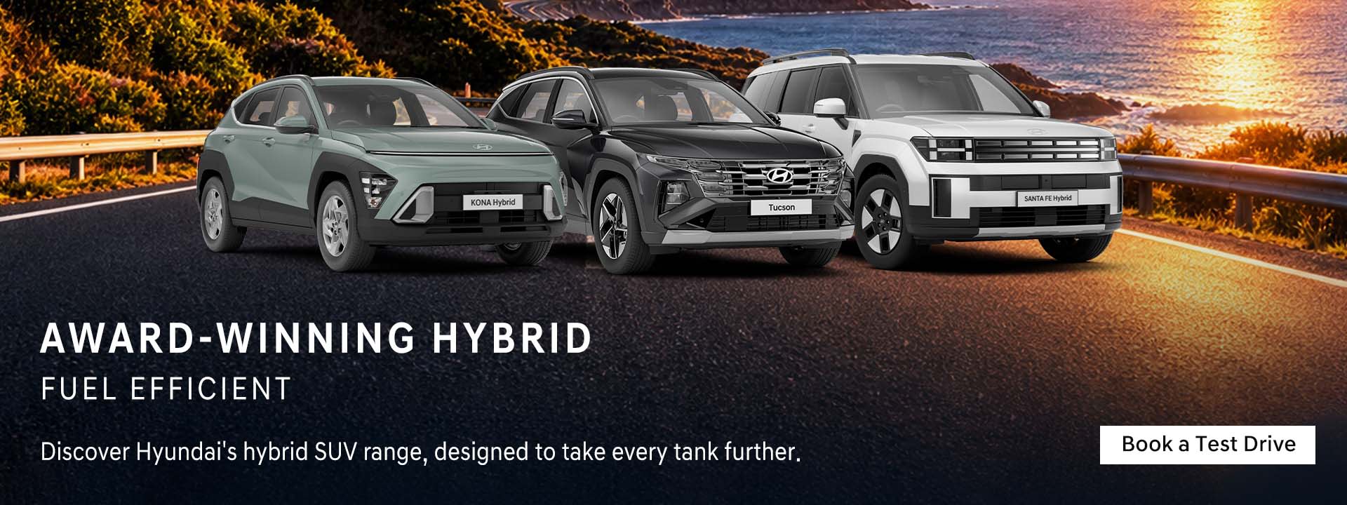 Hybrid