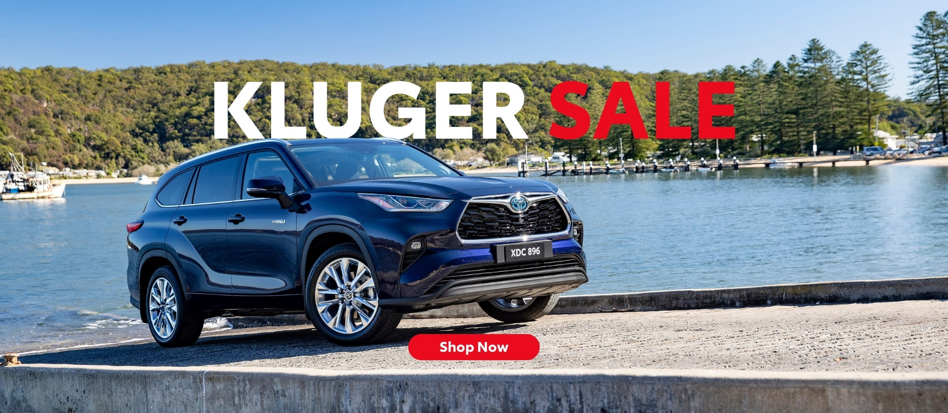 Kluger Dealer Specials