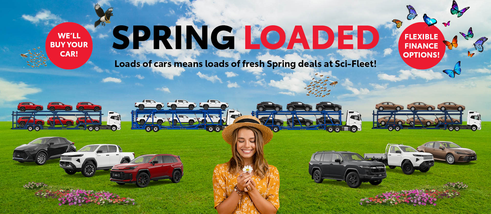 A new car promotion