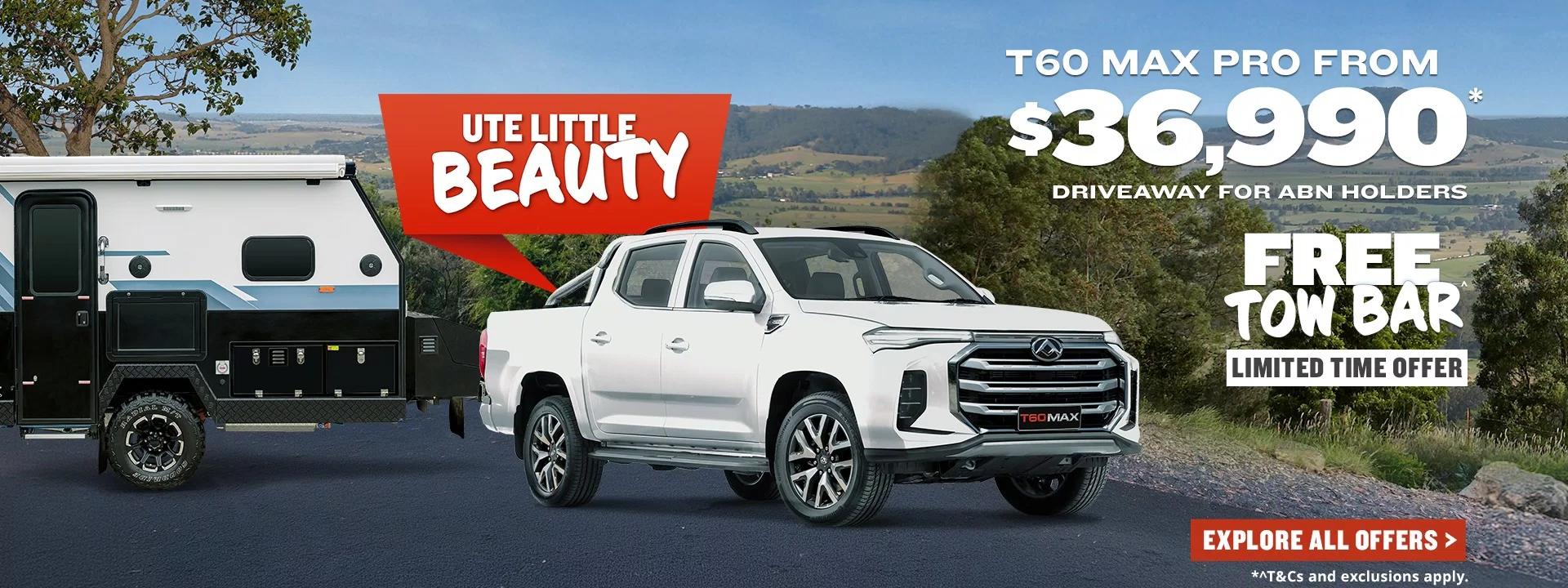 Ute Little Beauty