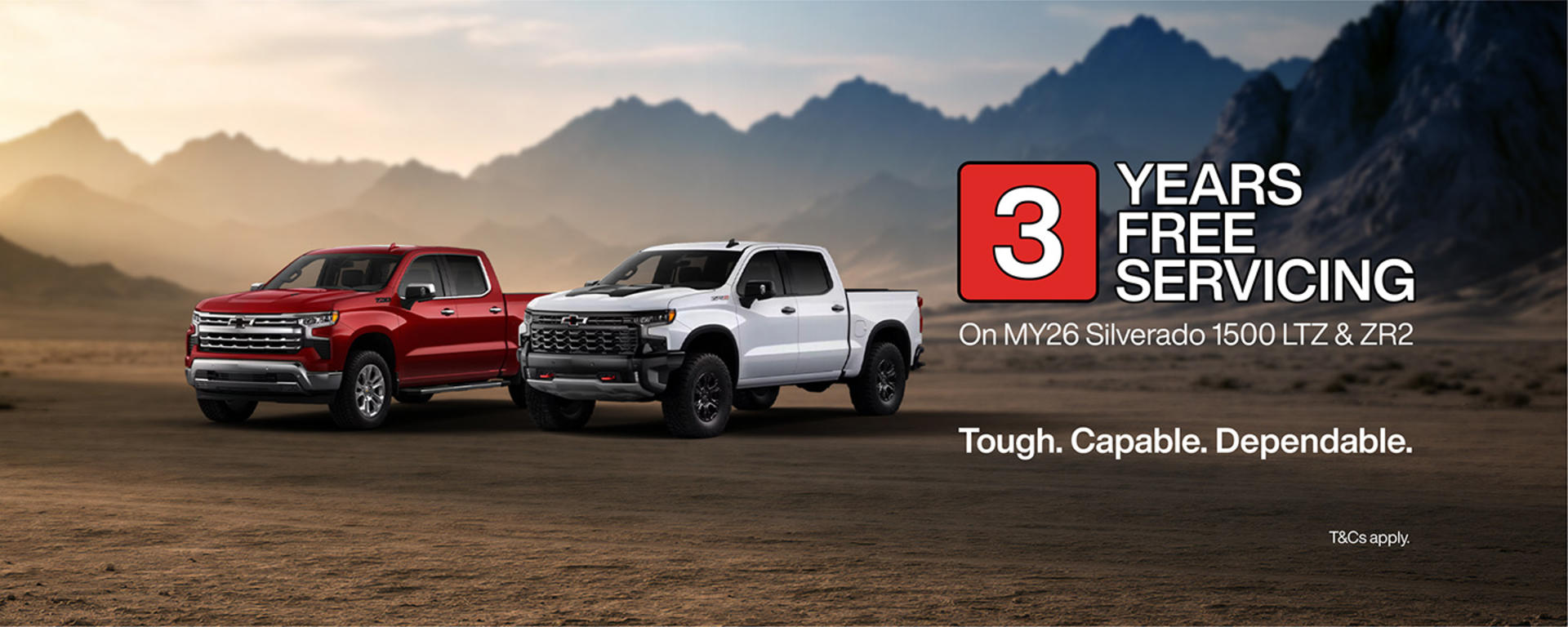 3 Years Free Servicing