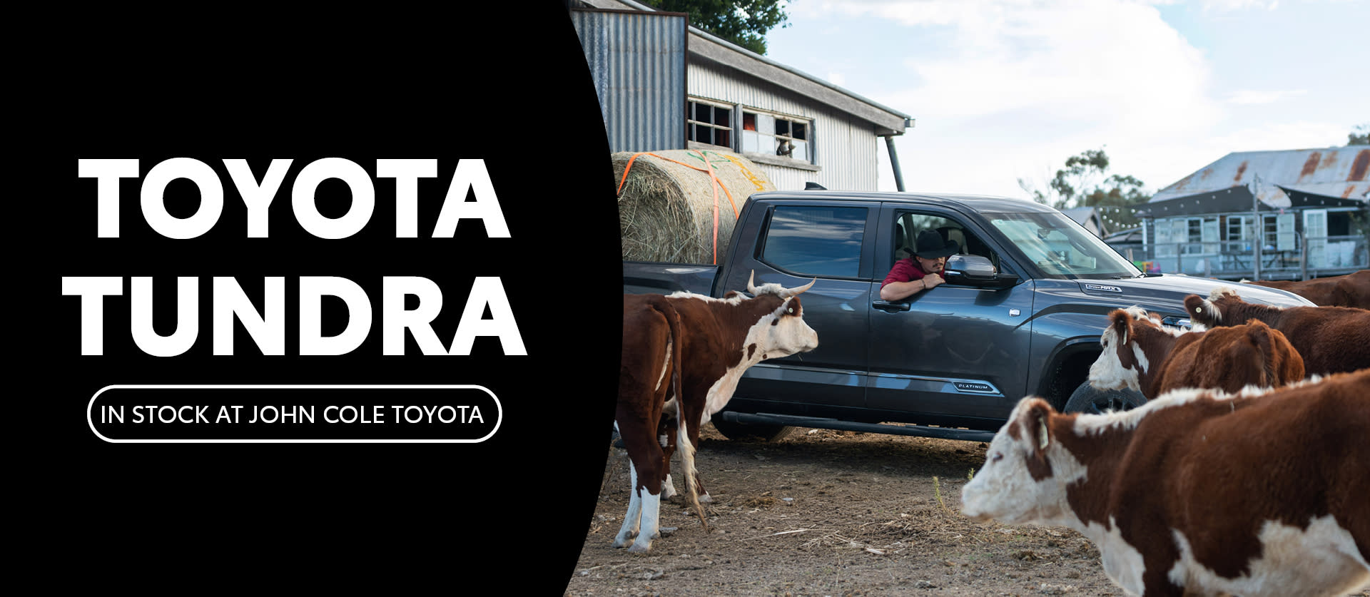 Tundra Stock Banner