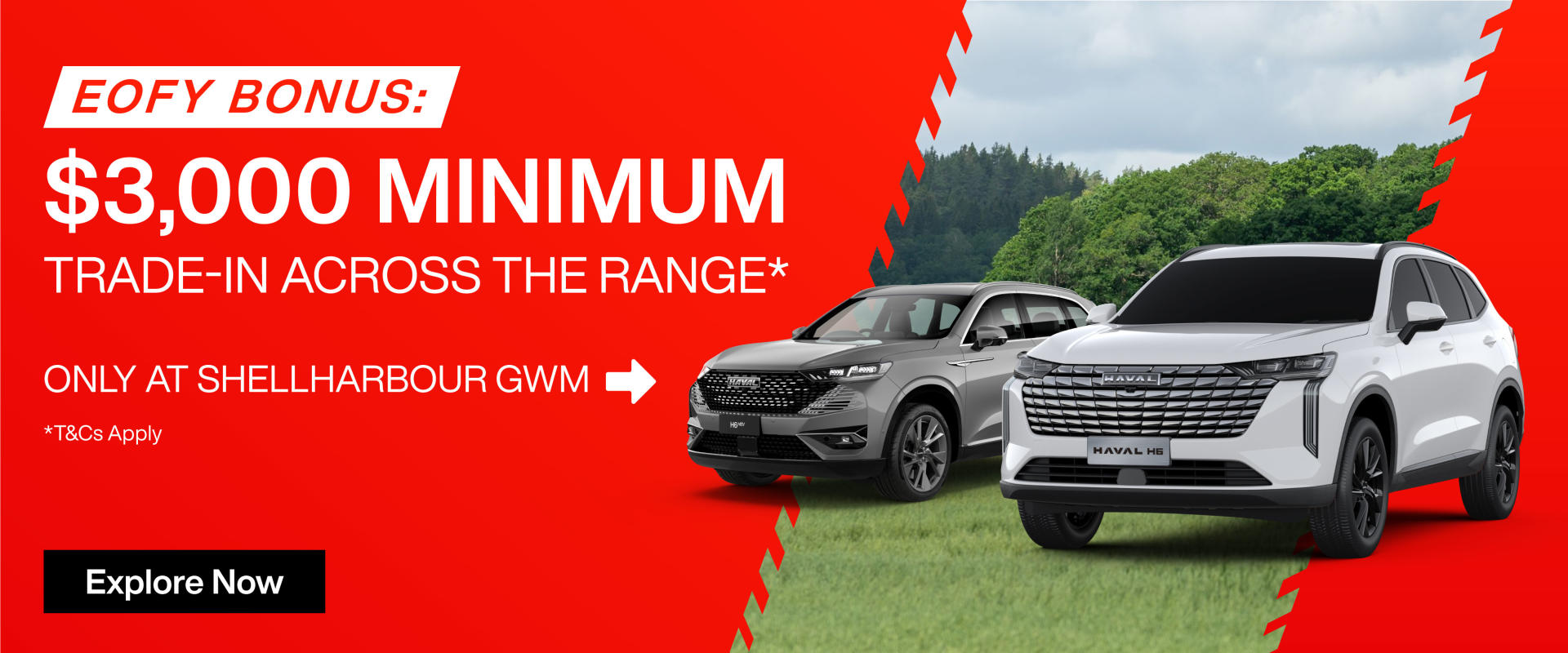 A new car promotion