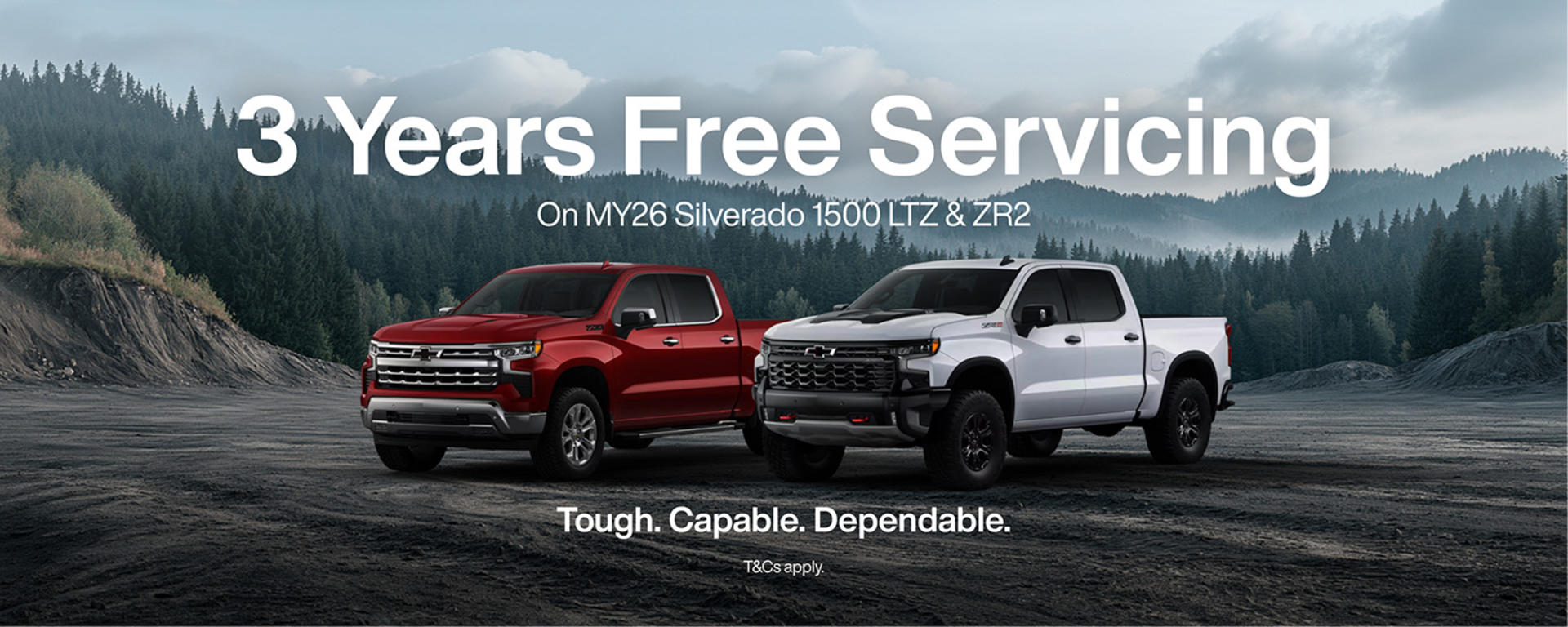 3 Yr Free Servicing