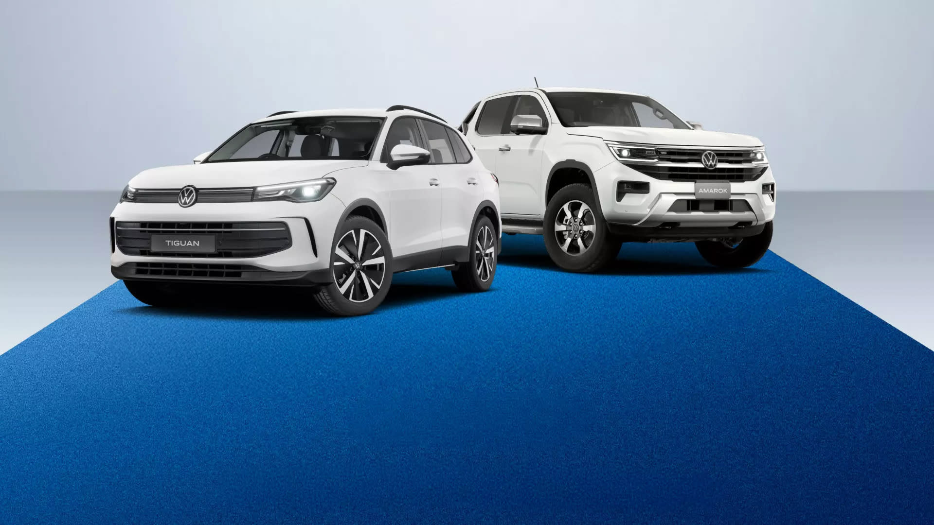 Get the blue carpet treatment