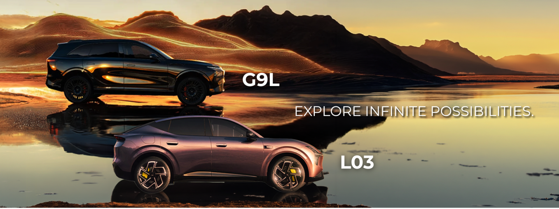 G9L and L03 Register