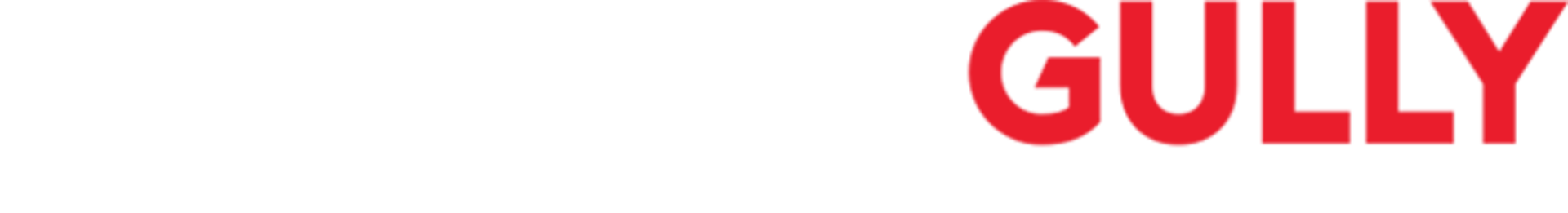 Ferntree Gully Automotive logo