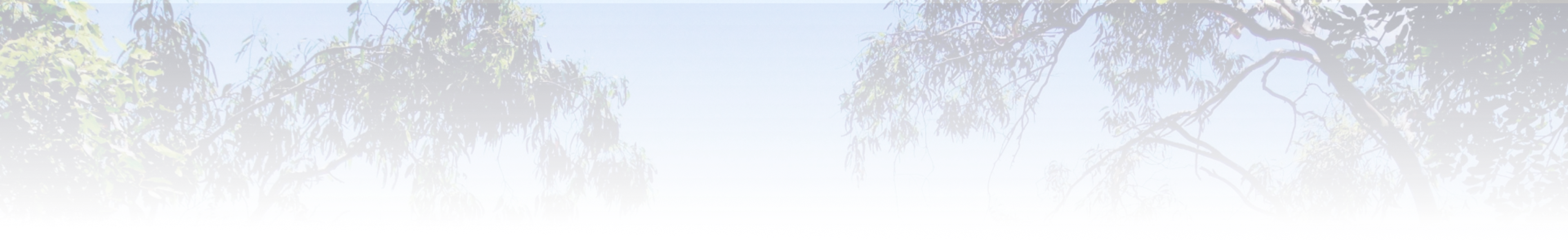 New, Demo & Used Cars For Sale Sunshine Coast Madill Motor Group