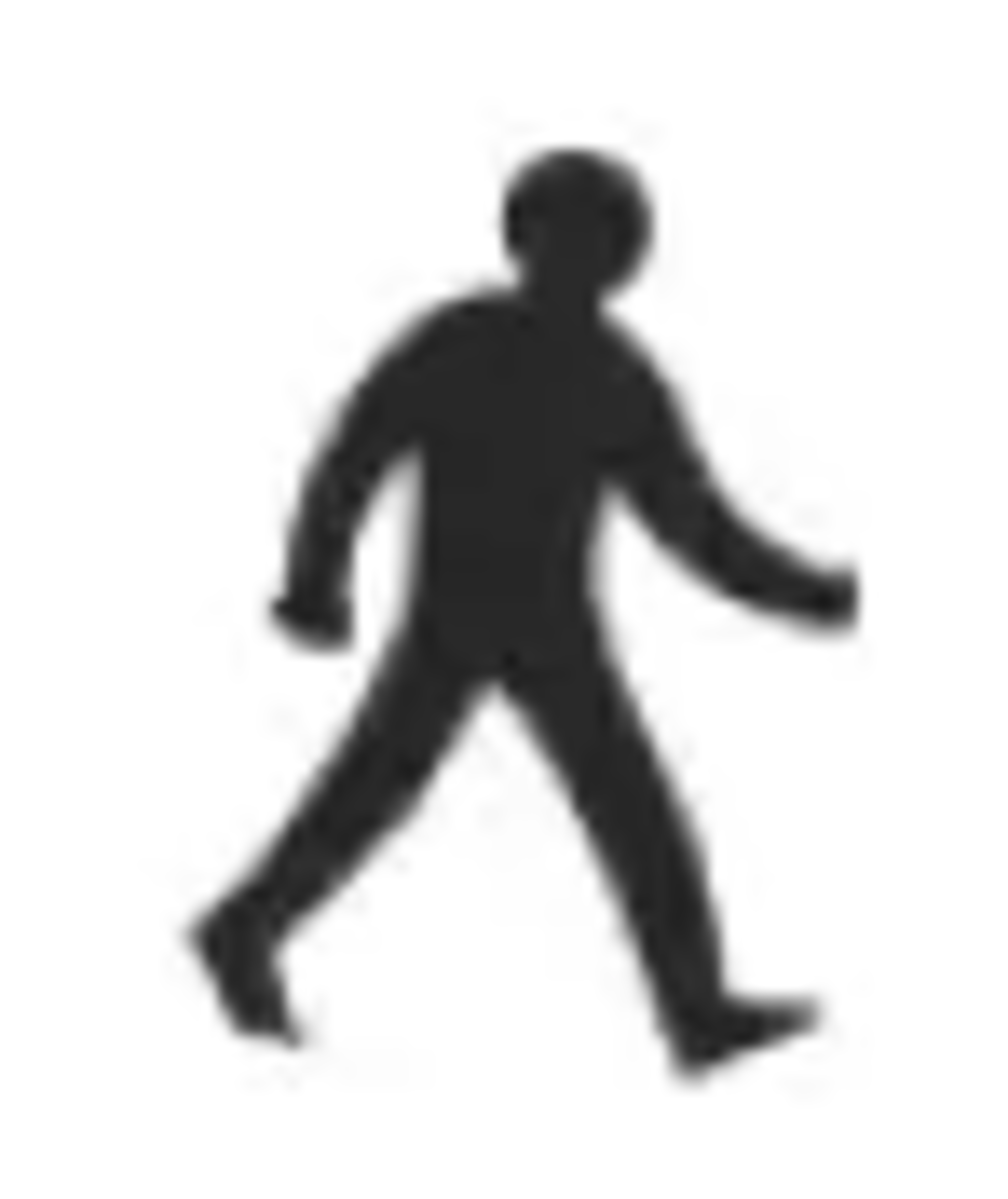 PEDESTRIAN DETECTION Icon