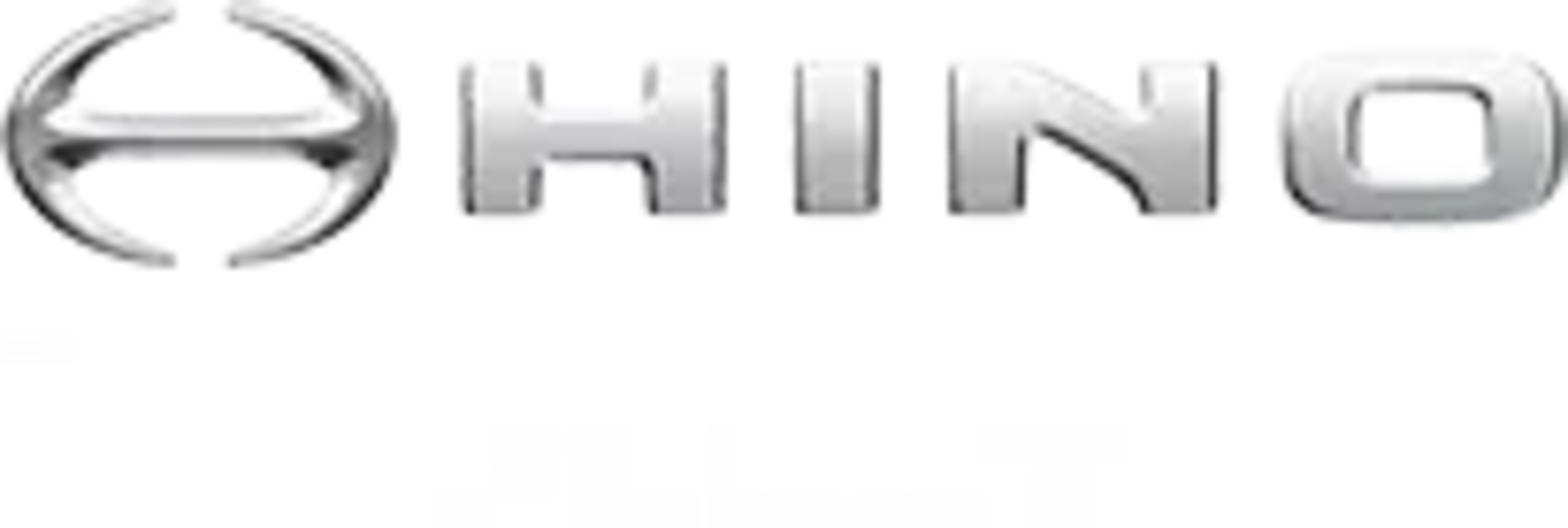 DRIVE FOR SUCCESS WITH HINO FLEET Logo