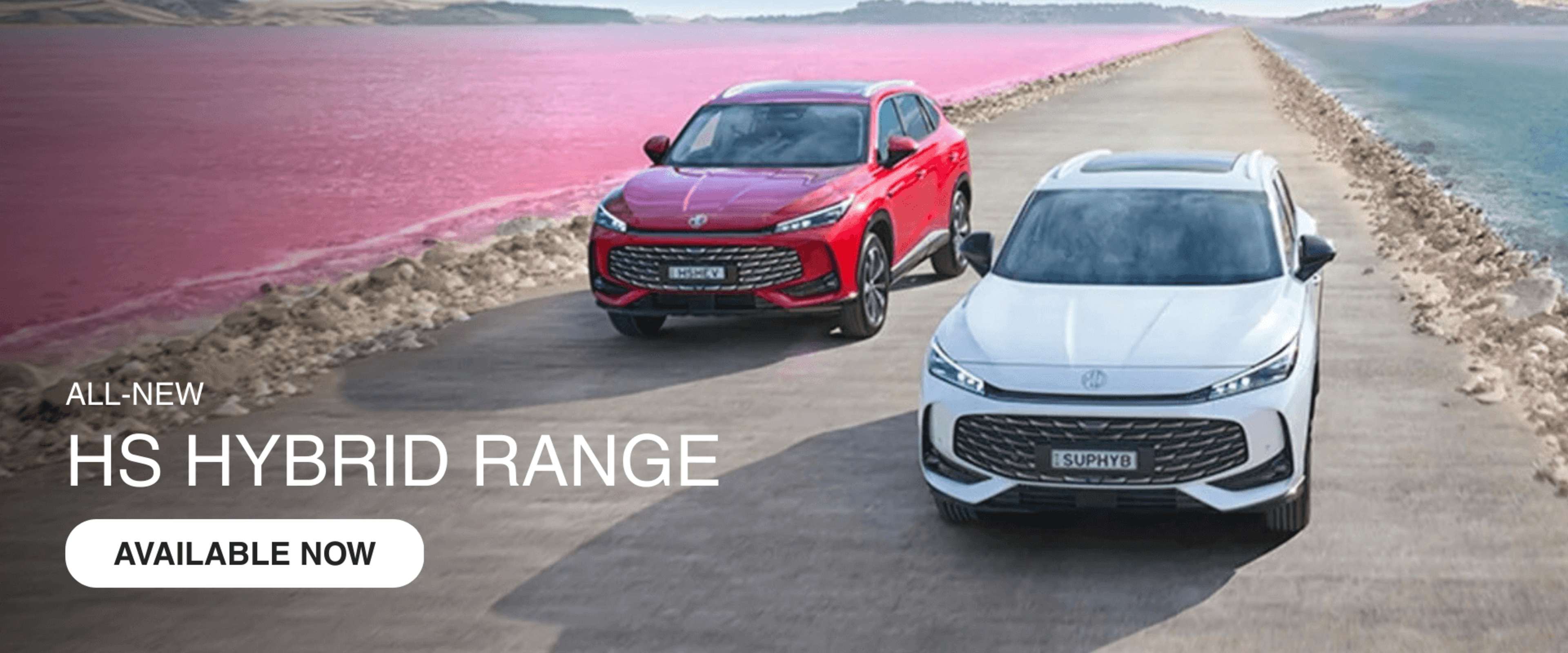 A new car promotion