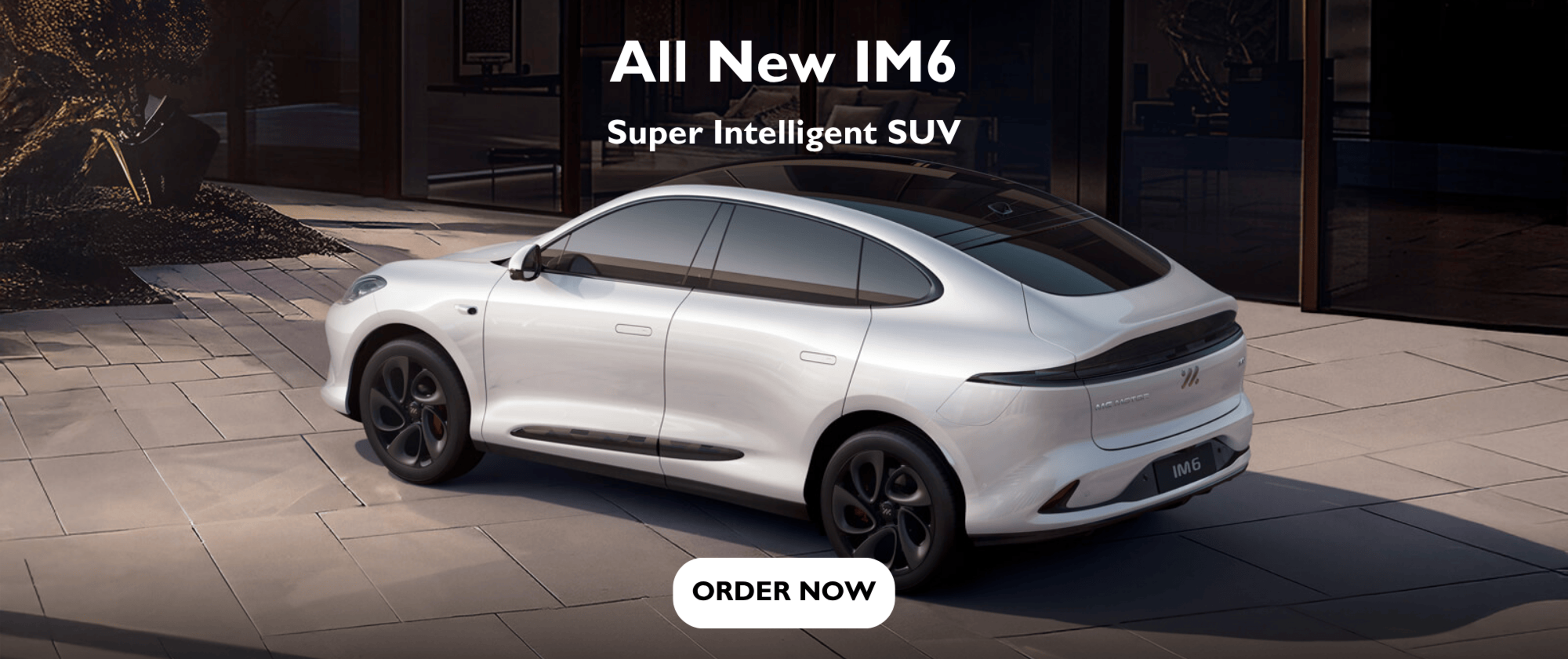 A new car promotion