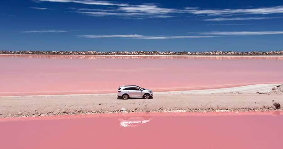  Sorento Large SUV pictured 