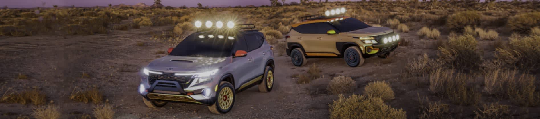 THE UNTAMED SELTOS X-LINE CONCEPTS