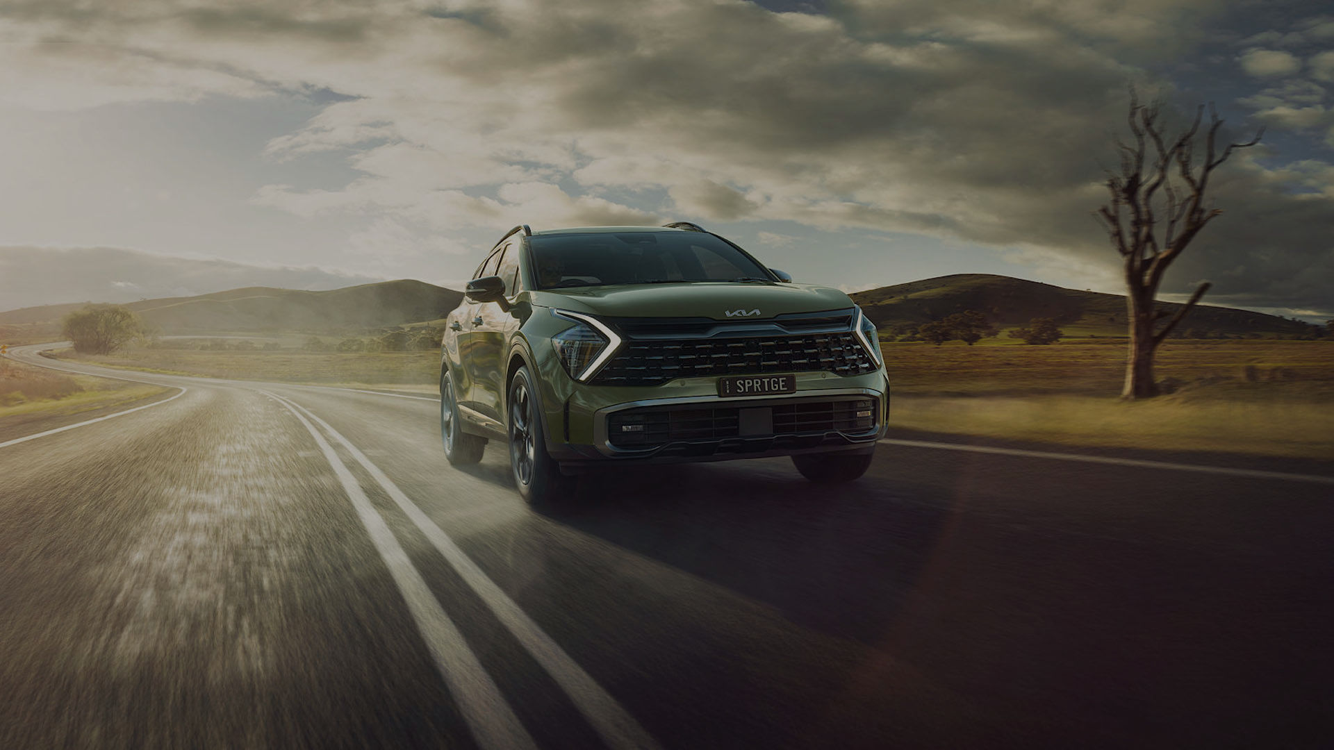 Peninsula Dealer Group