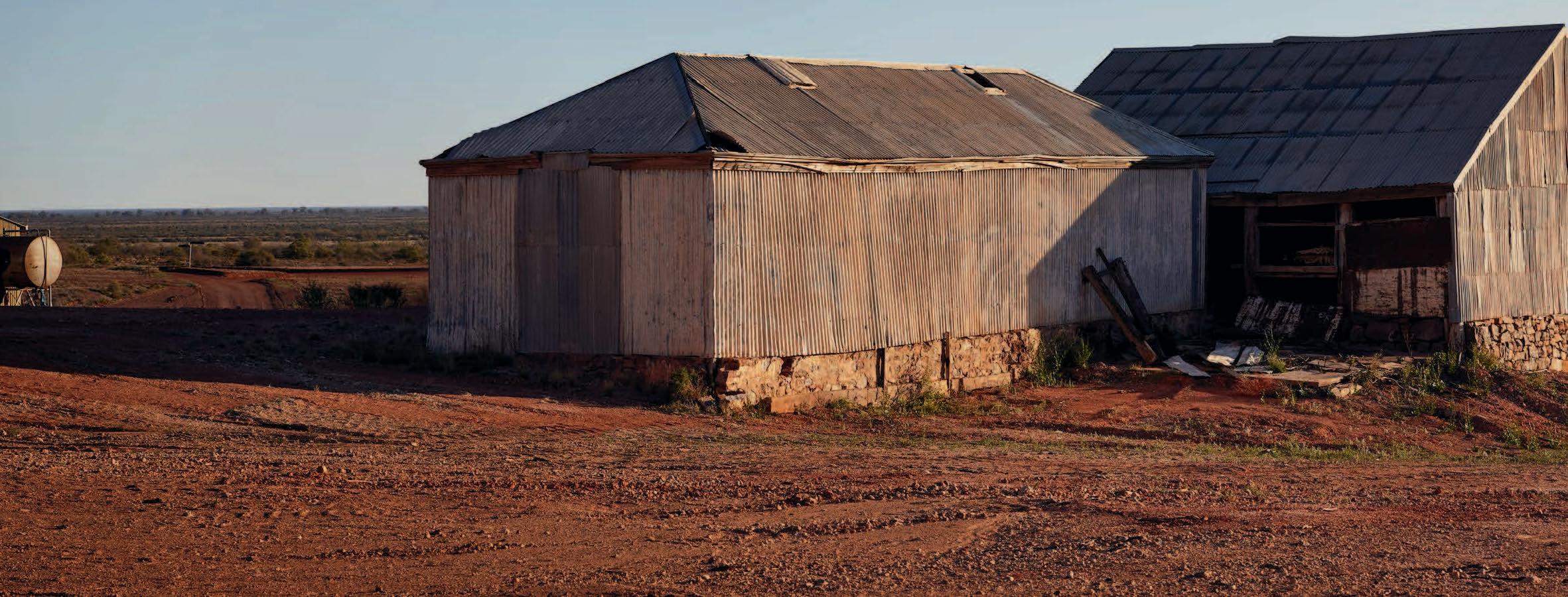 Why Farmers Love Toyota featured image