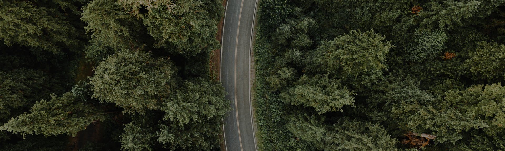 Roadside Assistance