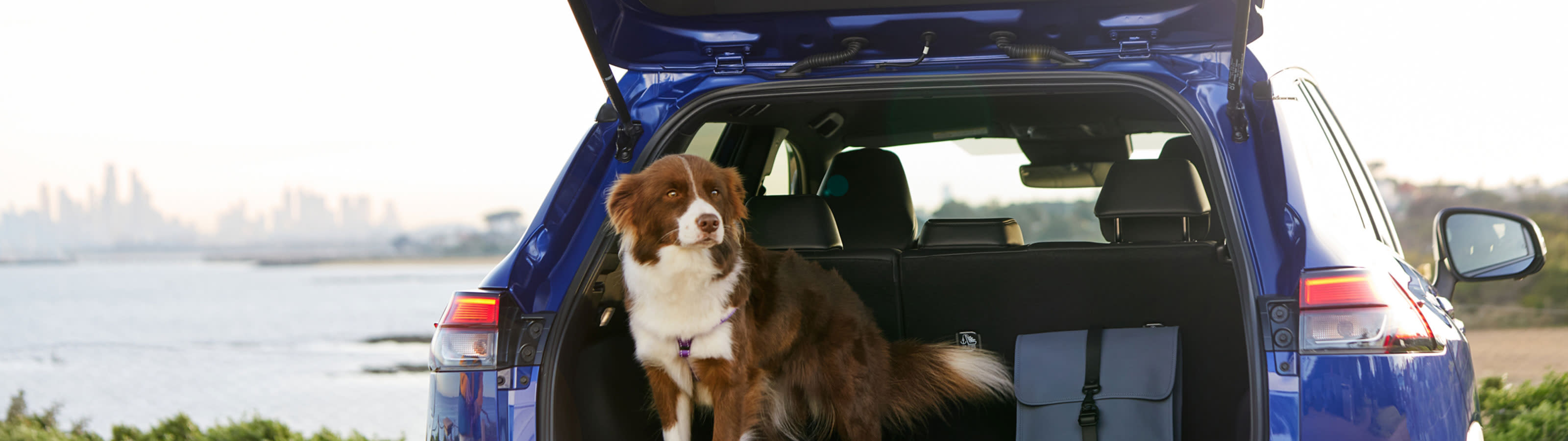 Which compact to mid-size Toyota SUV has a bigger boot? featured image