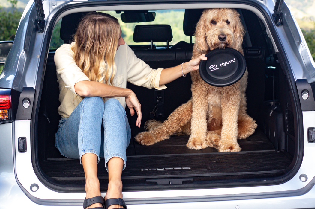 Top 5 Reasons To Buy A Toyota Hybrid In Brisbane featured image