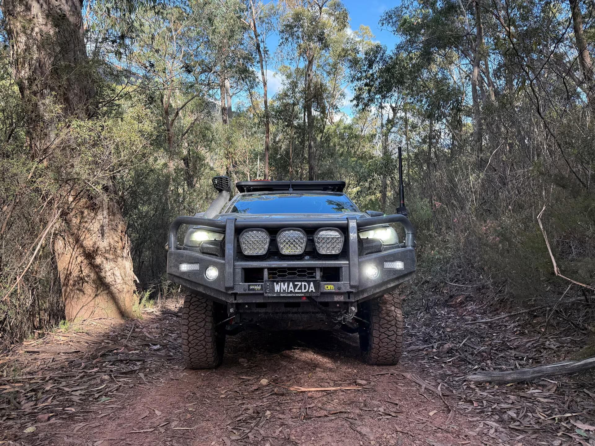 Vehicle background