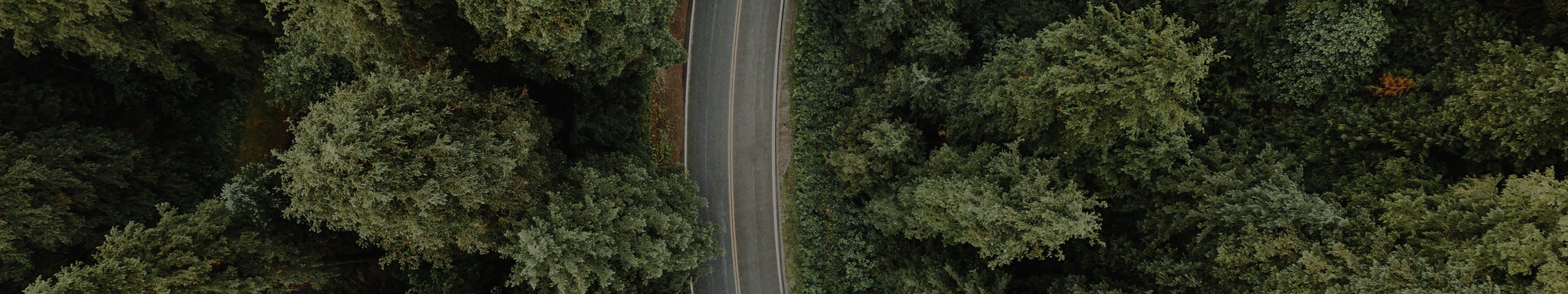 Roadside Assist