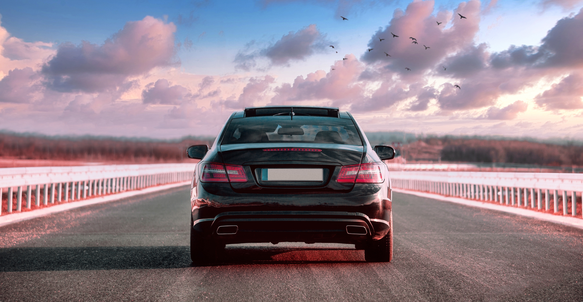 Looking for a Vehicle?