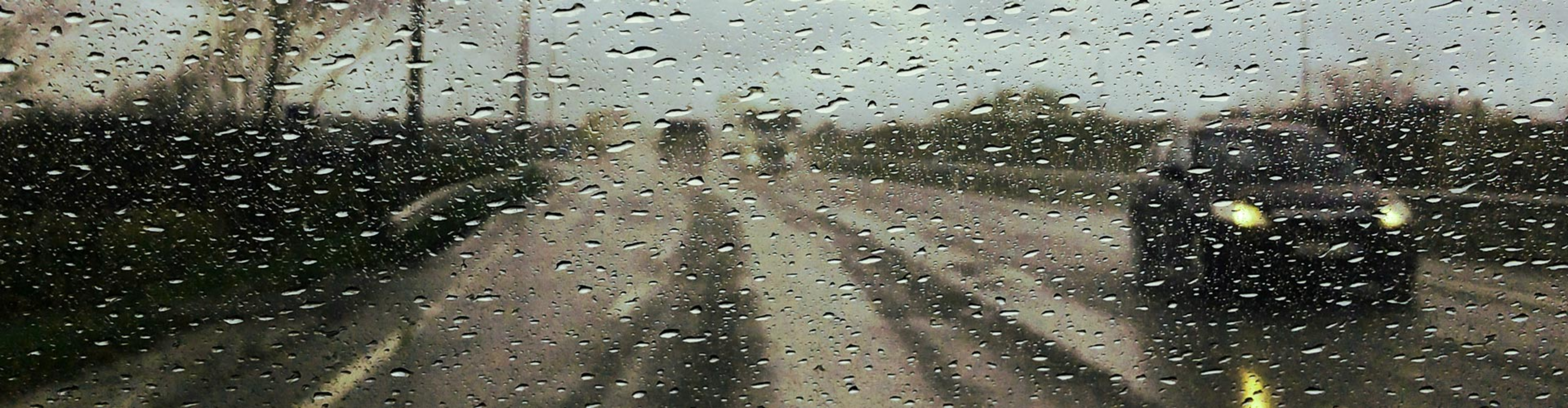Wet Weather Driving Tips: Stay Safe on the Road with Tynan Motors and NRMA banner