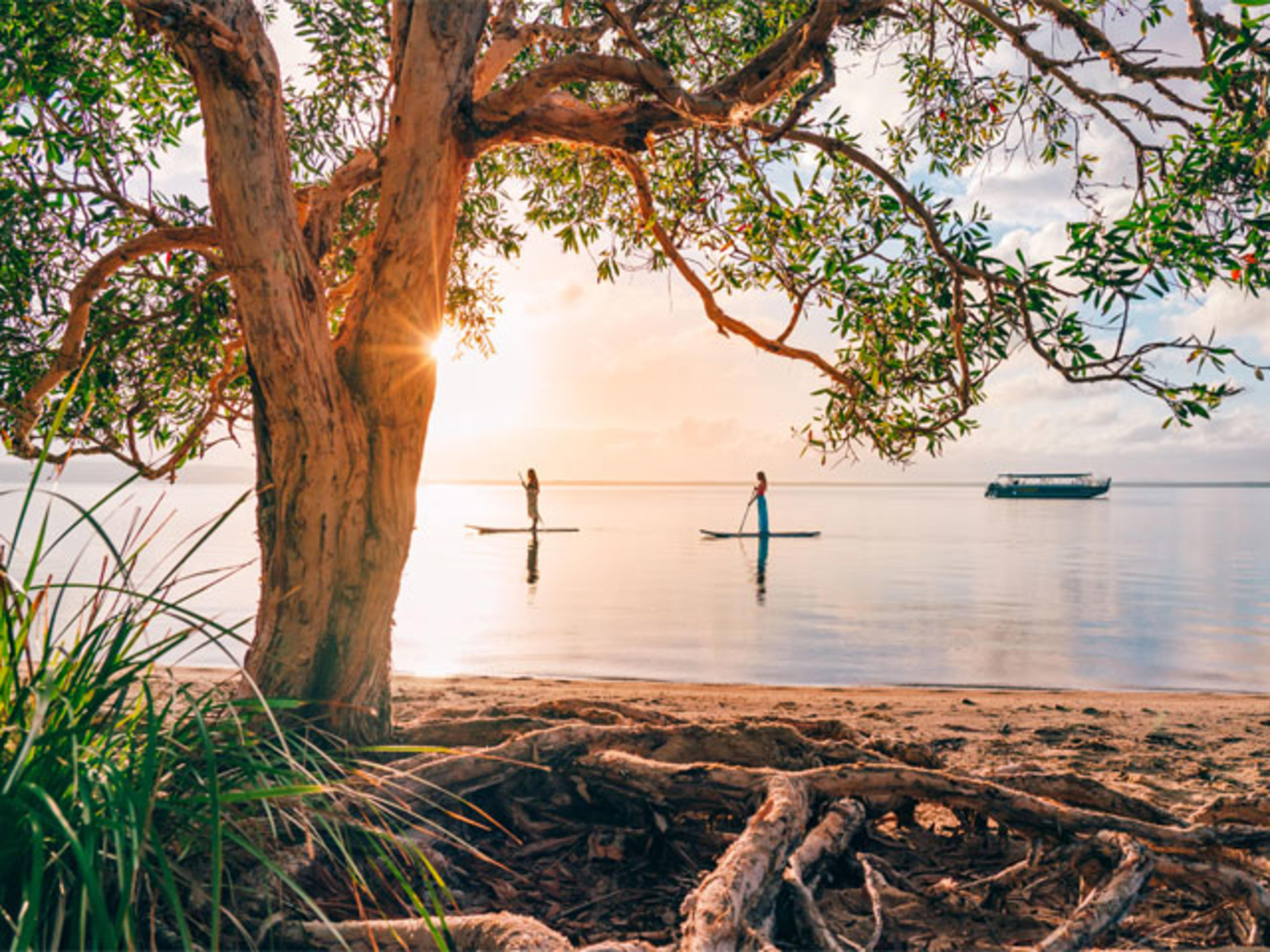 HABITAT NOOSA - EVERGLADES ECOCAMP featured image