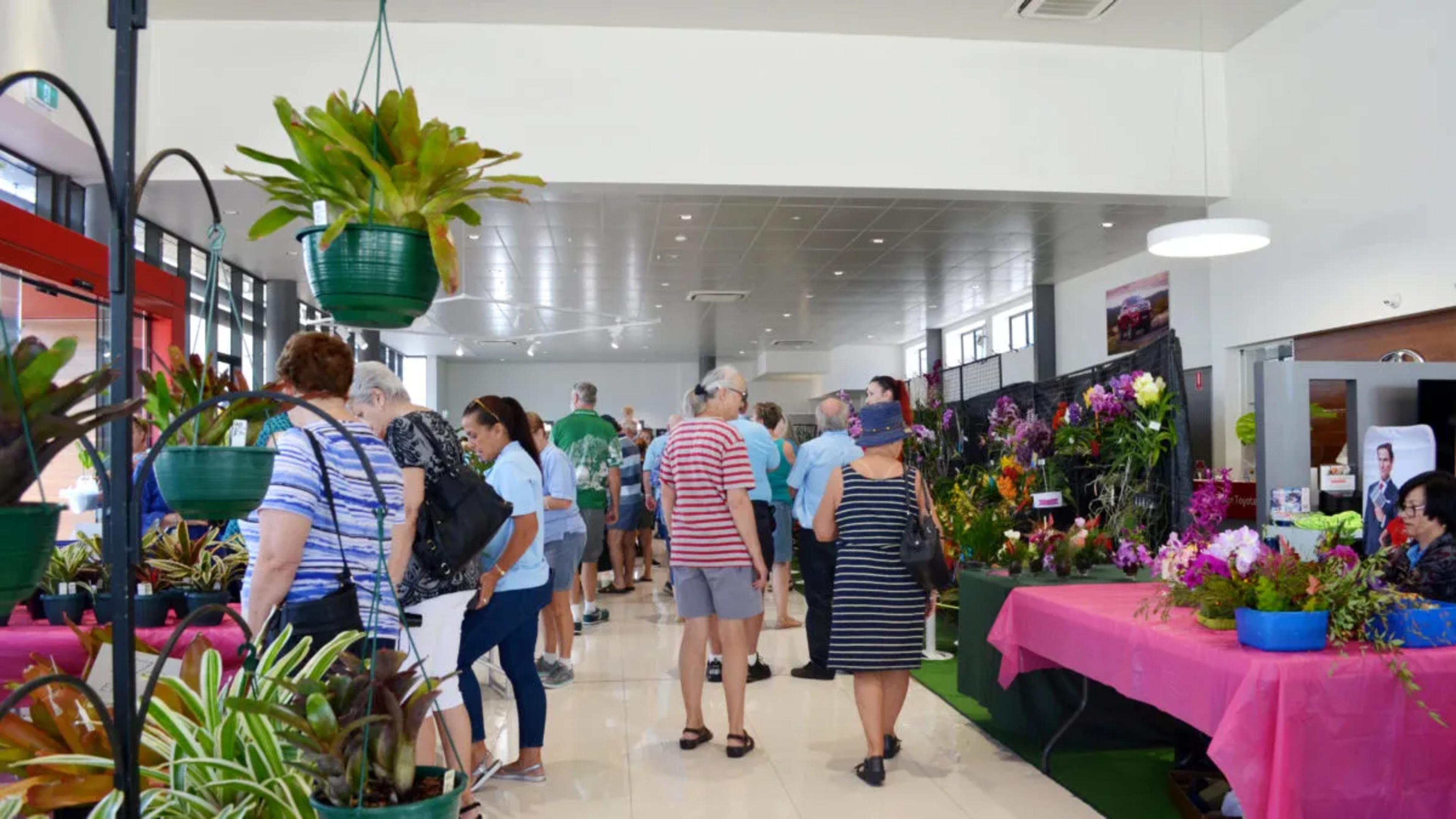 Gladstone Orchid Society display held each year over the Easter long weekend in our showroom.