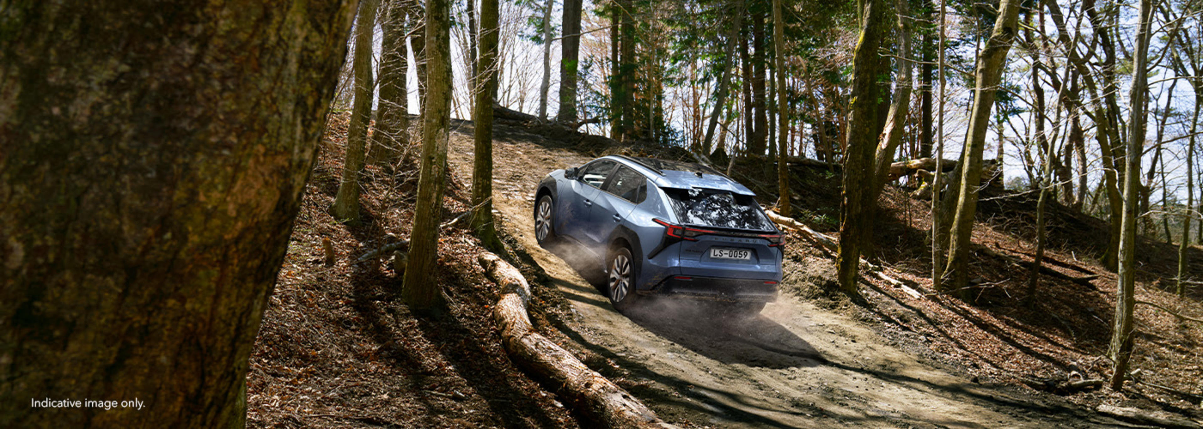 Meet the New Subaru Solterra at Tynan Subaru Sutherland banner