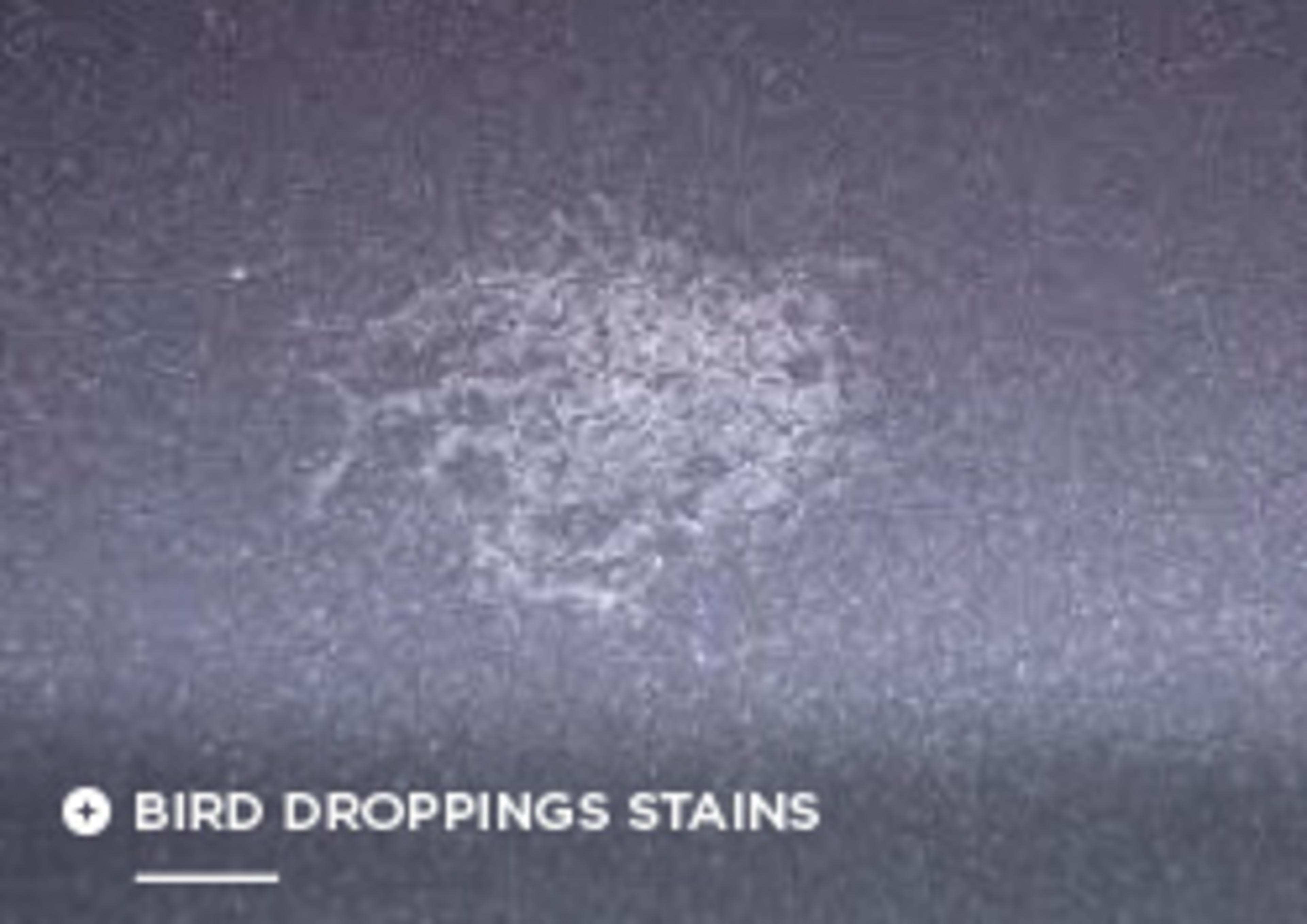 protektivhydro Bartons