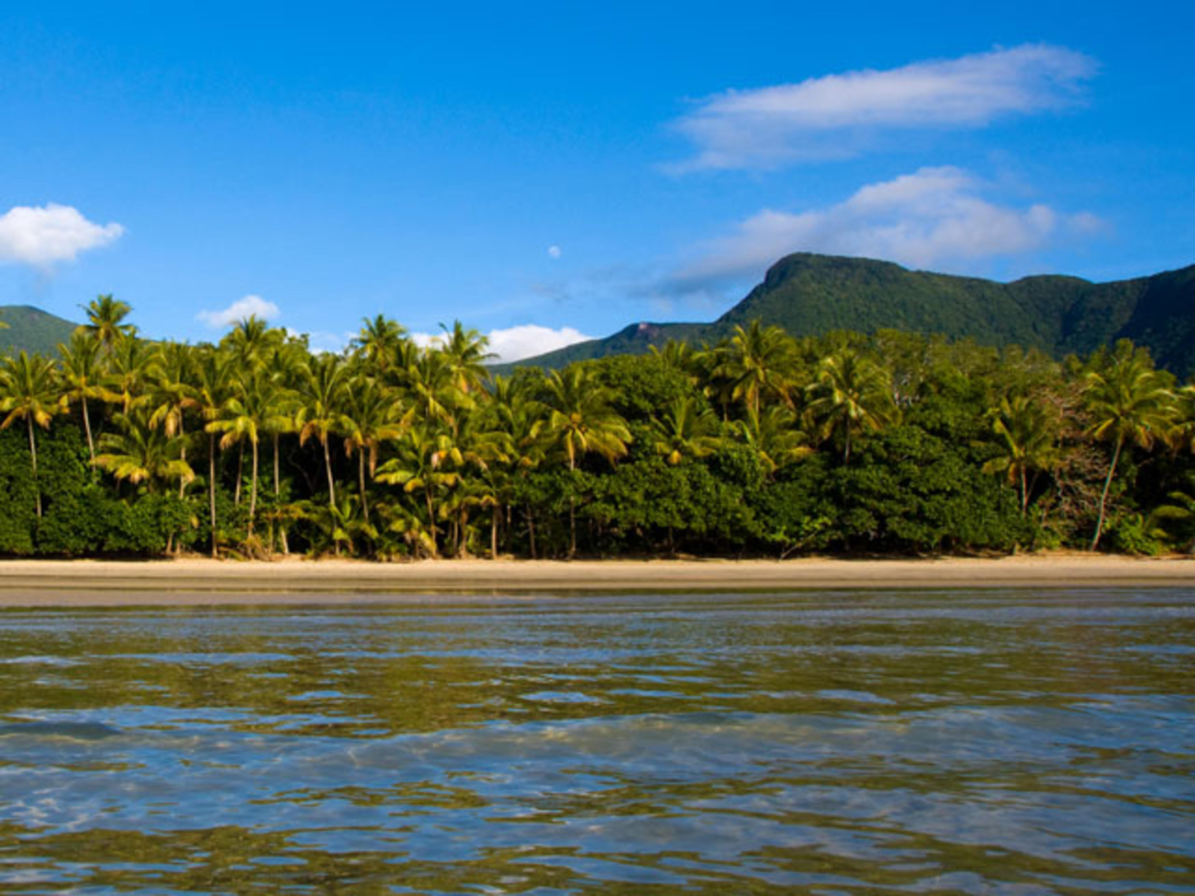 SWITCH OFF IN CAPE TRIBULATION! featured image