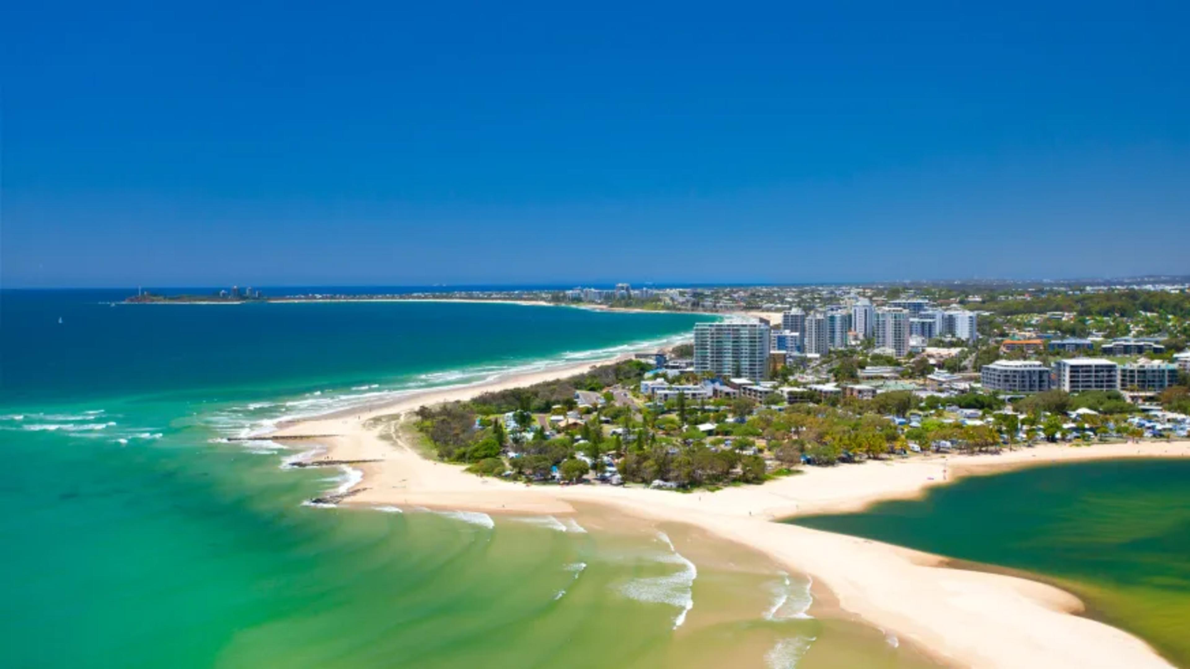 Cotton Tree (Image Credit: Paul Smith, Visit Sunshine Coast)