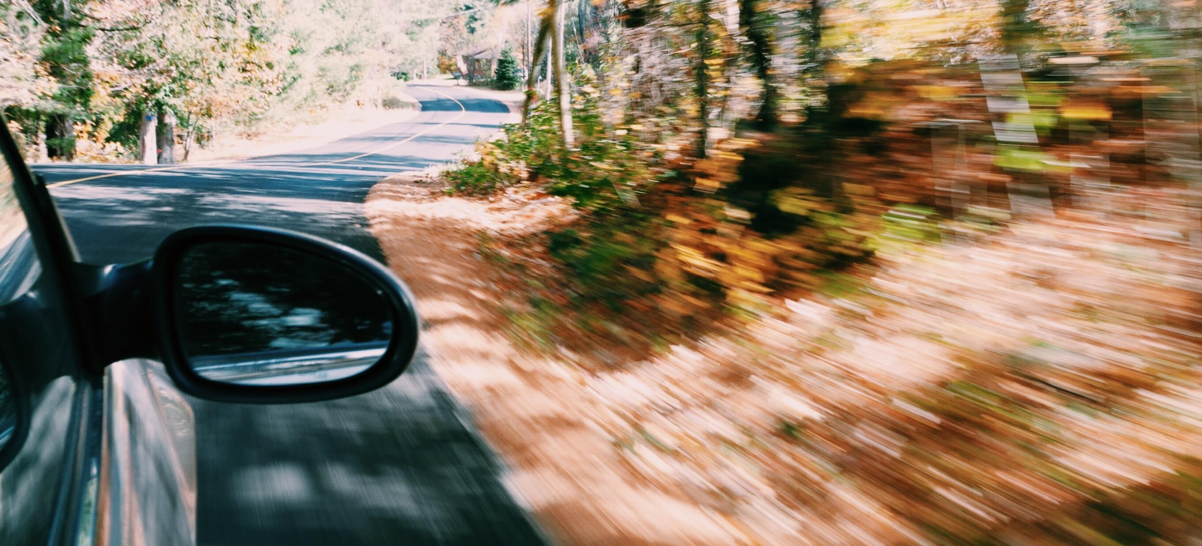 3 Great Roads for Driving Near Brisbane banner