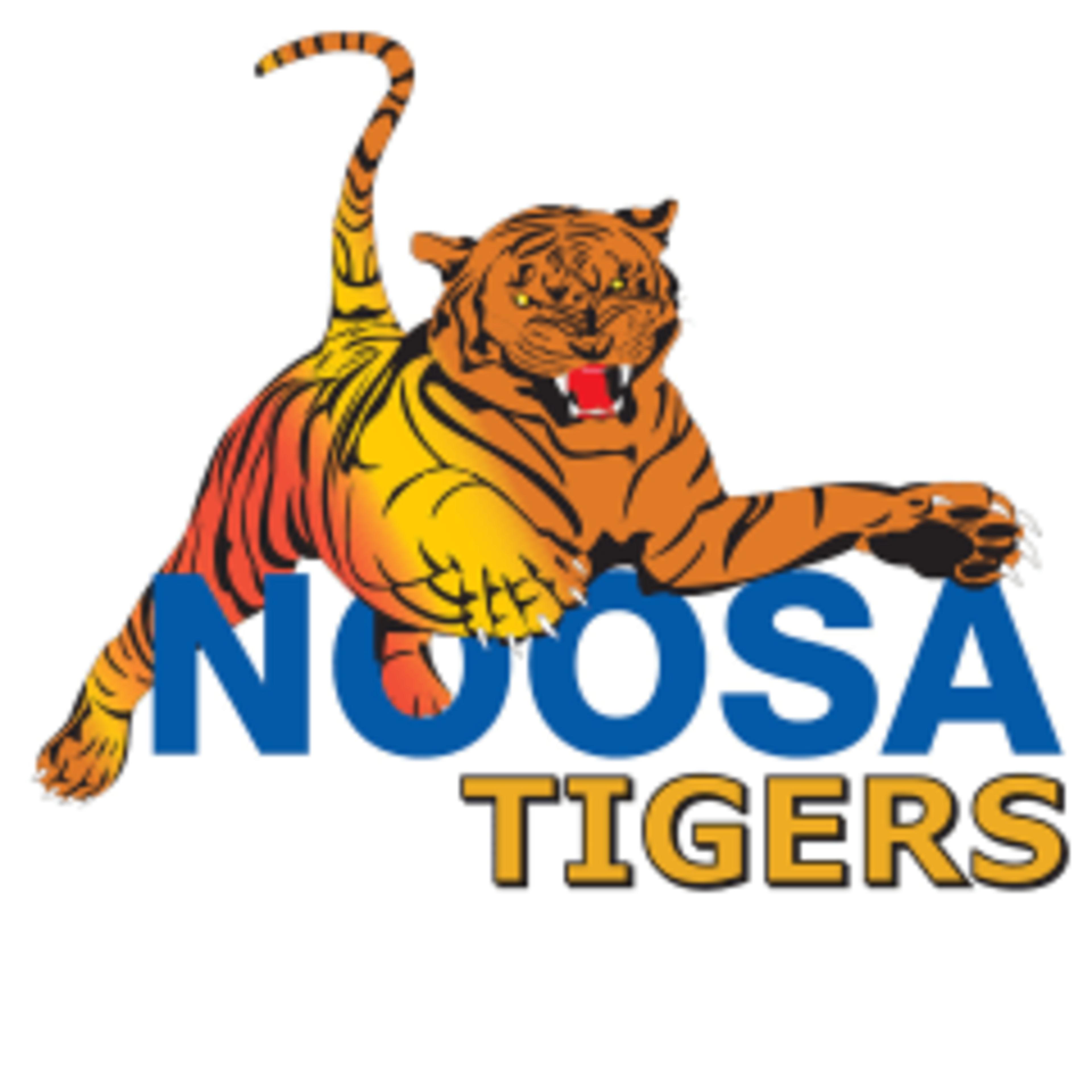 Noosa Tigers Australian Football Club Image