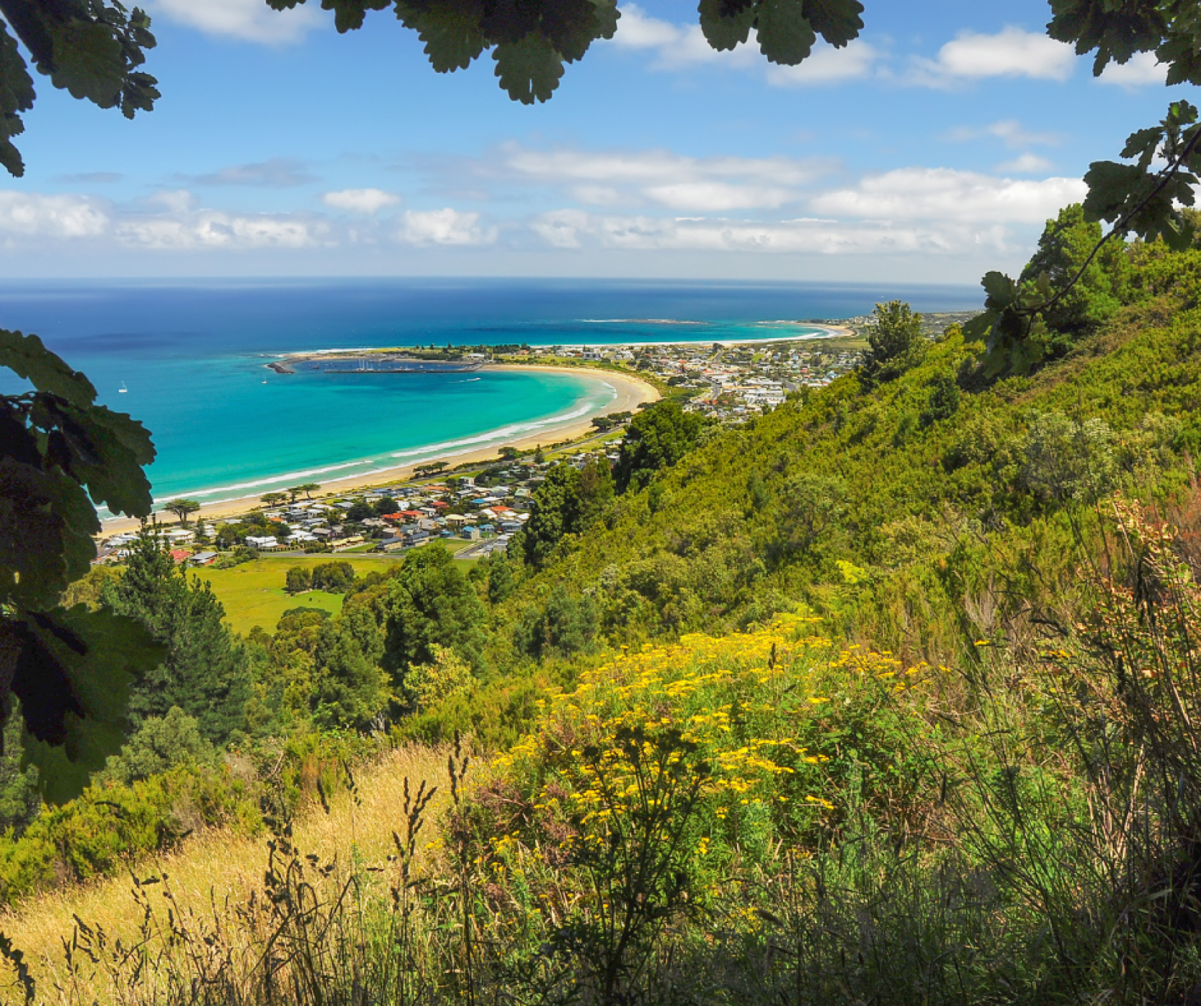 &nbsp; &nbsp; &nbsp; &nbsp; &nbsp; &nbsp; &nbsp; &nbsp; &nbsp; &nbsp; &nbsp; &nbsp; &nbsp; &nbsp; &nbsp; &nbsp; &nbsp; &nbsp; &nbsp; &nbsp; &nbsp; &nbsp; &nbsp; &nbsp; &nbsp; &nbsp; &nbsp; &nbsp; &nbsp; &nbsp; &nbsp; &nbsp; &nbsp; &nbsp; &nbsp; &nbsp; &nbsp; &nbsp; &nbsp; &nbsp; &nbsp; &nbsp; &nbsp; &nbsp; &nbsp; &nbsp; &nbsp; &nbsp; Apollo Bay