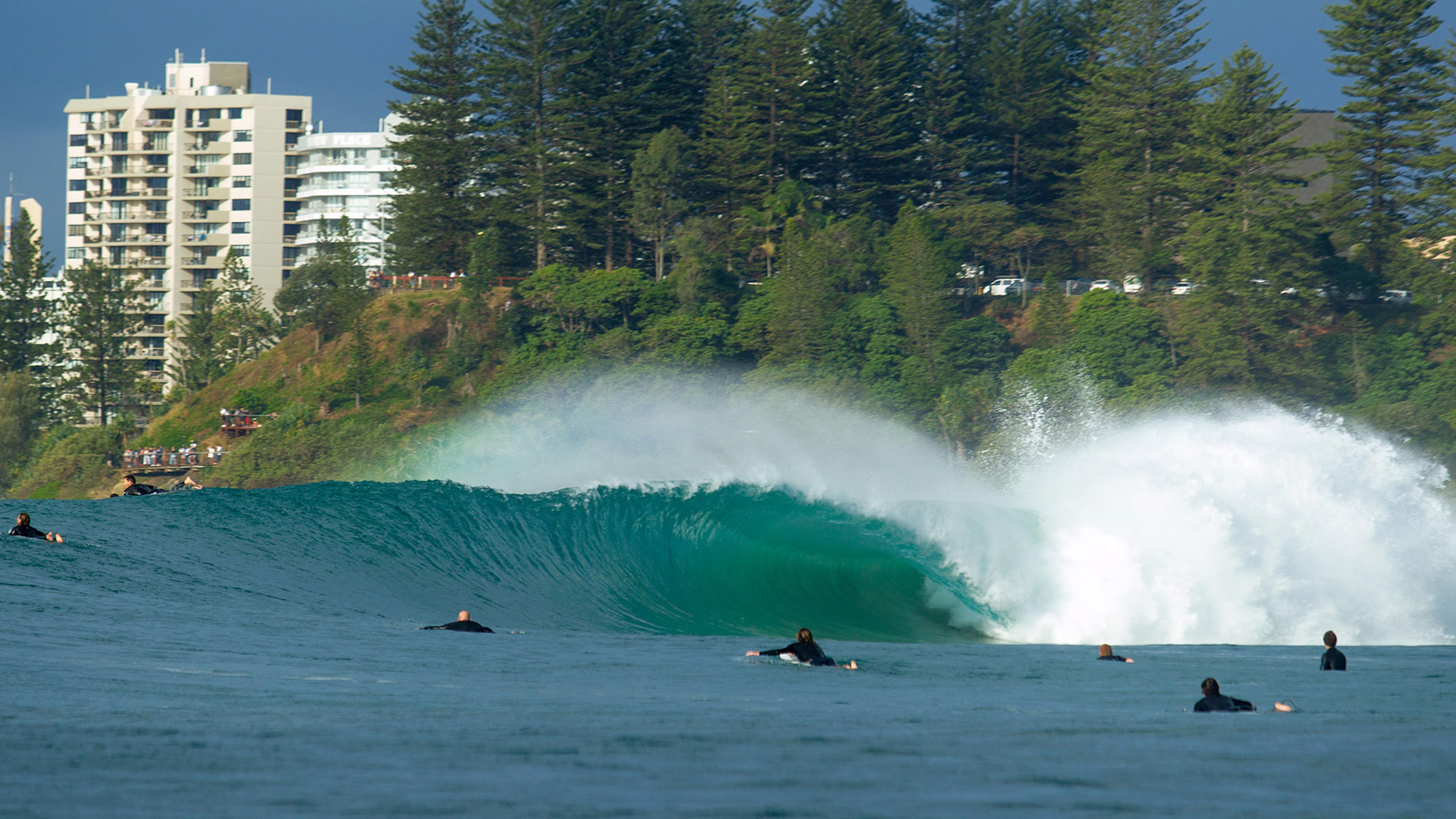 Top 5 Surf Spots on the Gold Coast and Tweed Heads banner