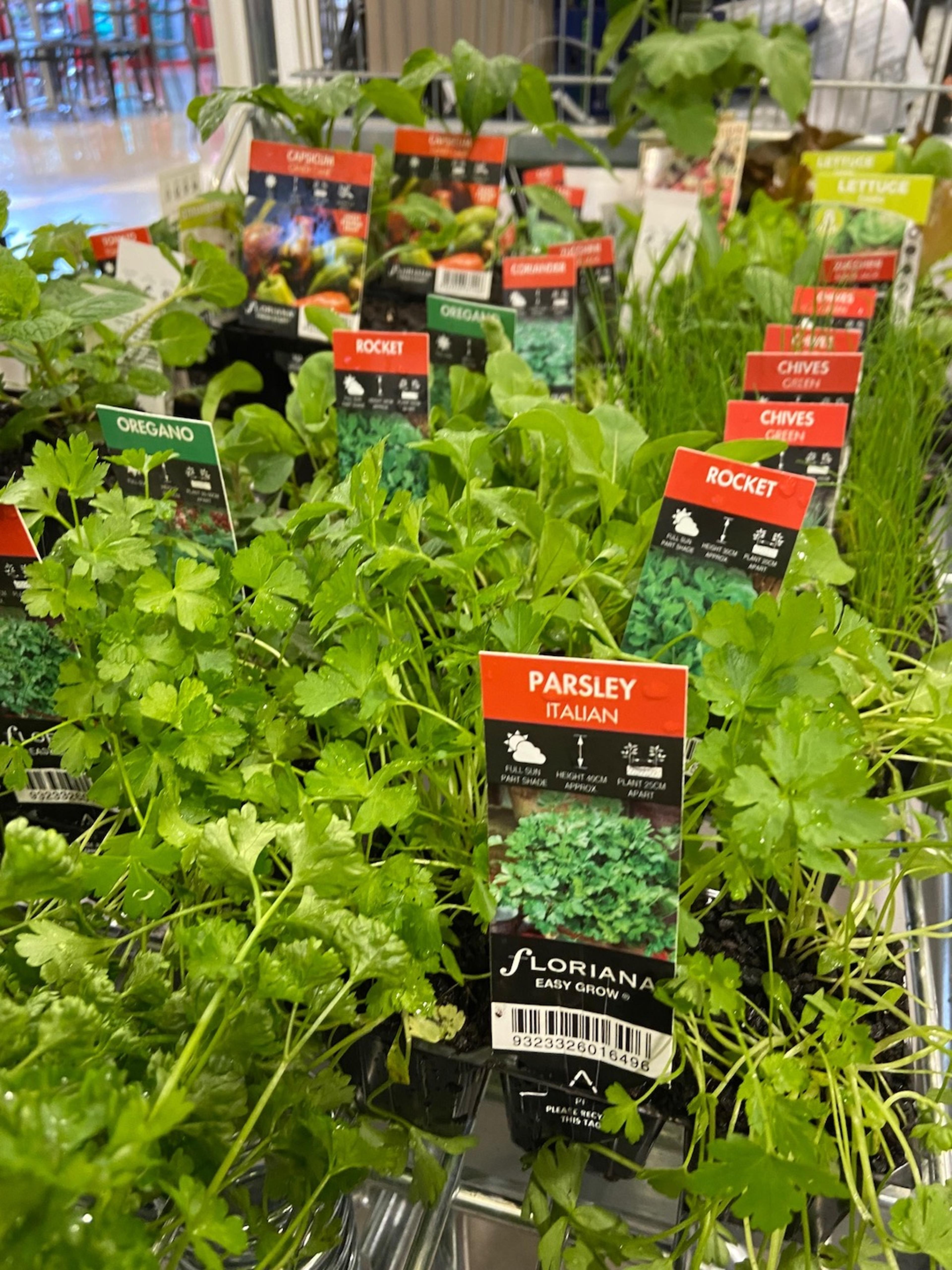 The range of herbs available at Bunnings.