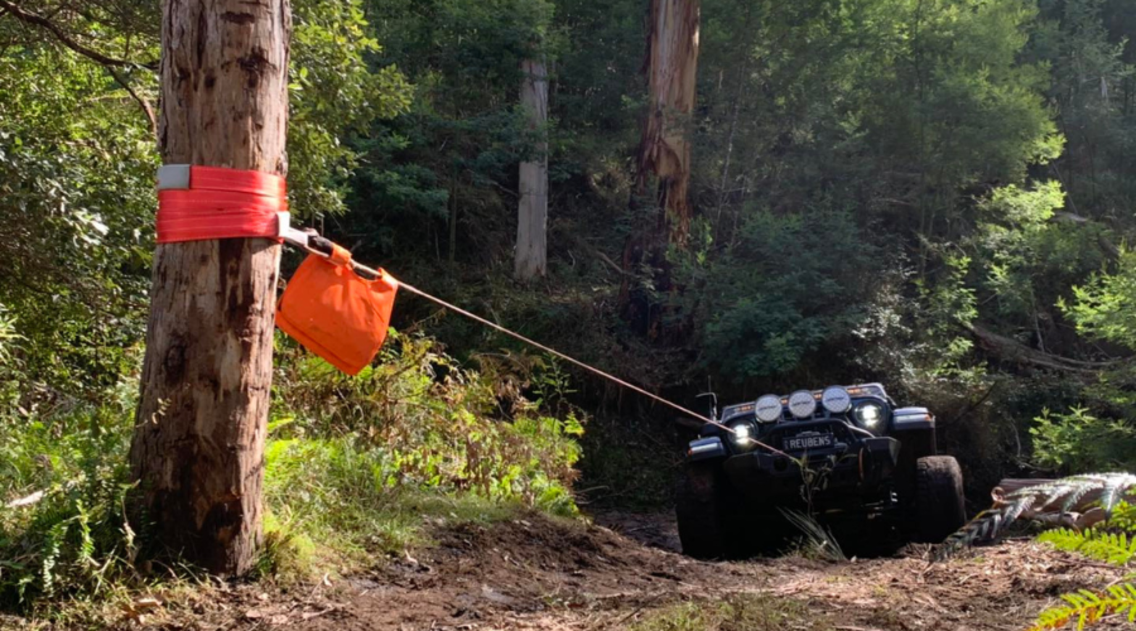 Pulling power and line length are important factors to consider when purchasing a winch