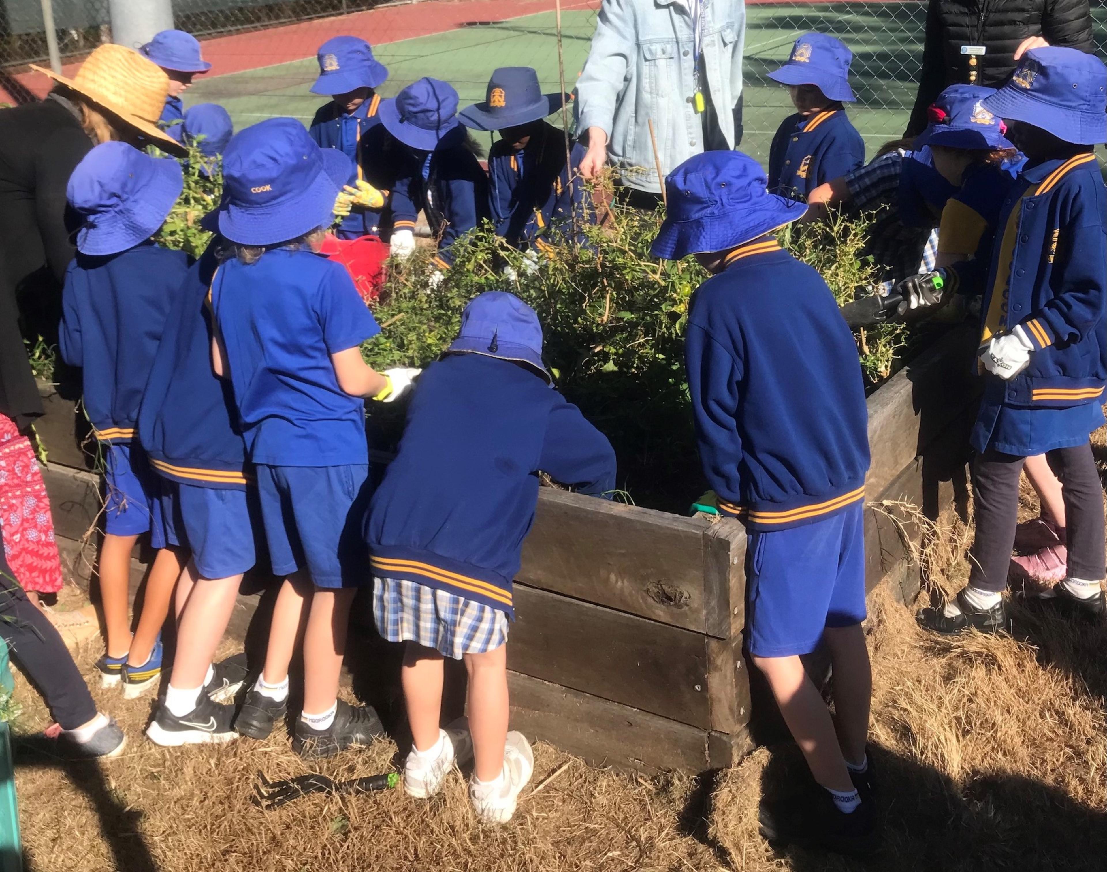Students from Moorooka State School working on their Community Garden project