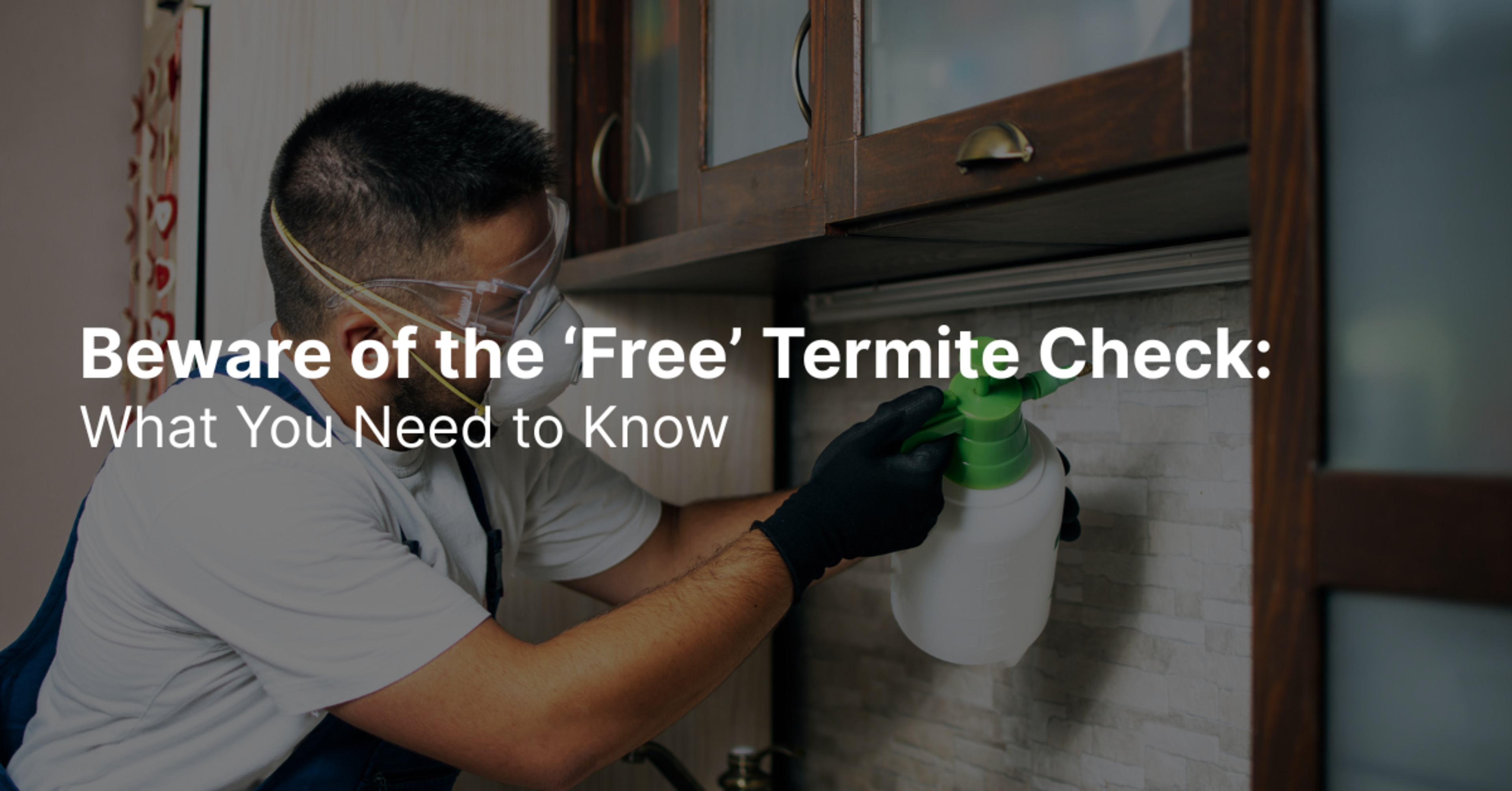 Beware of the ‘Free’ Termite Check: What You Need to Know banner